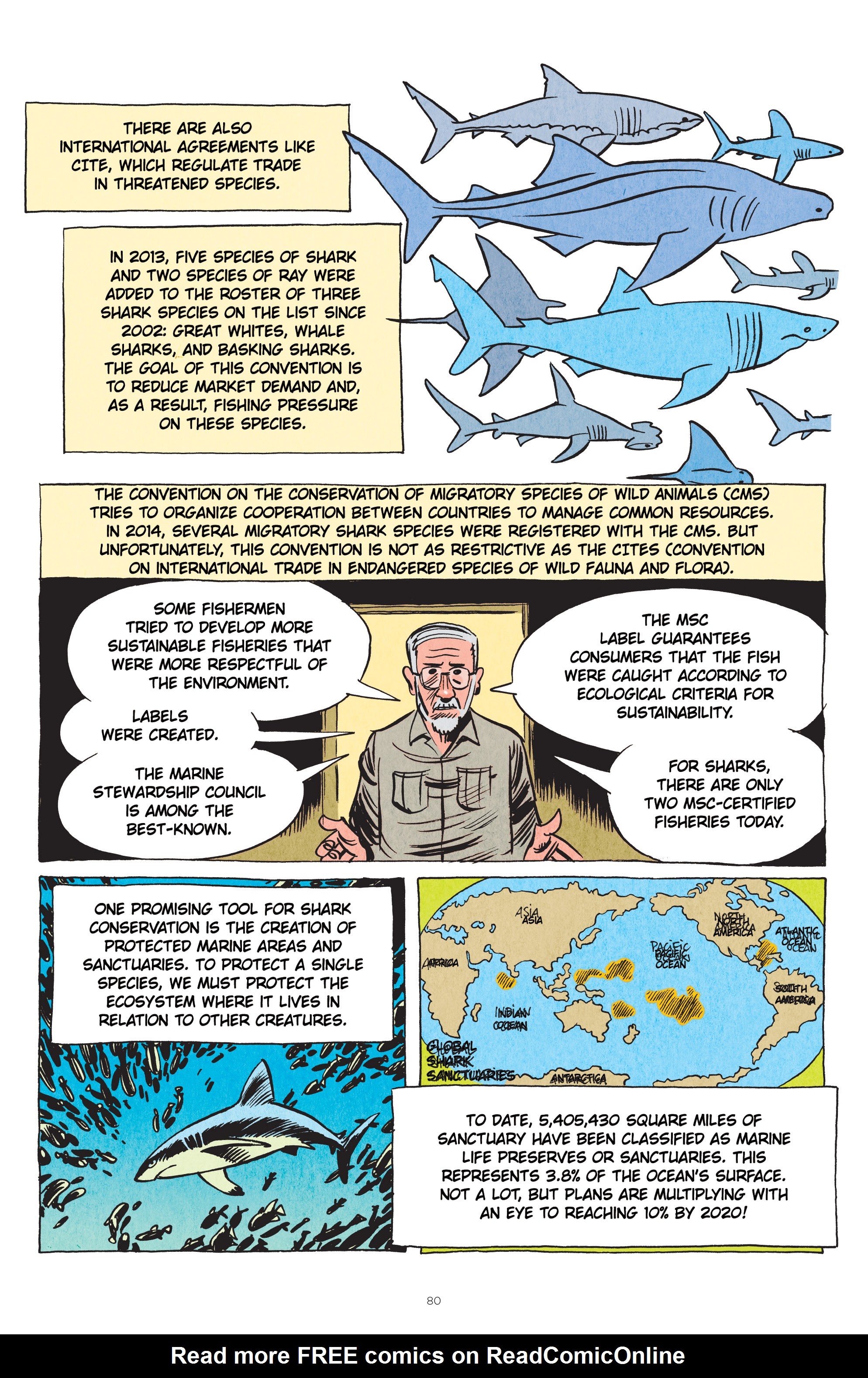 Read online Little Book of Knowledge: Sharks comic -  Issue # TPB - 80