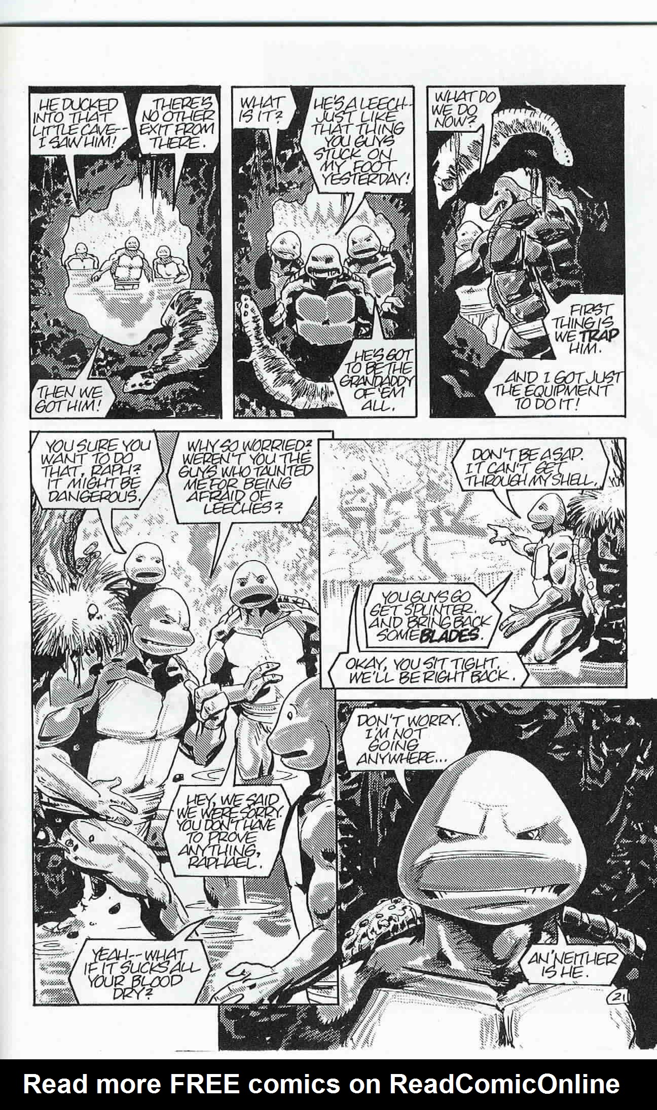 Read online Teenage Mutant Ninja Turtles (1984) comic -  Issue #24 - 22