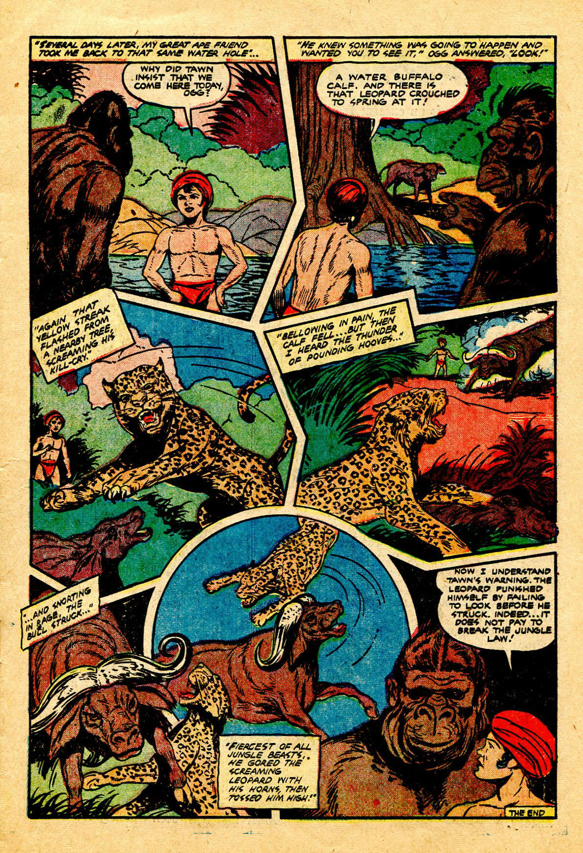 Read online Wambi Jungle Boy comic -  Issue #13 - 15