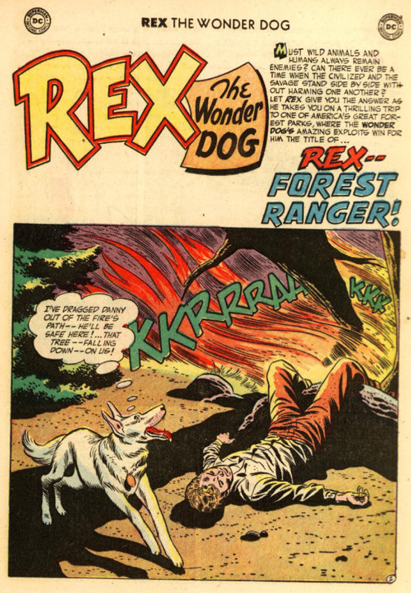 Read online The Adventures of Rex the Wonder Dog comic -  Issue #1 - 25