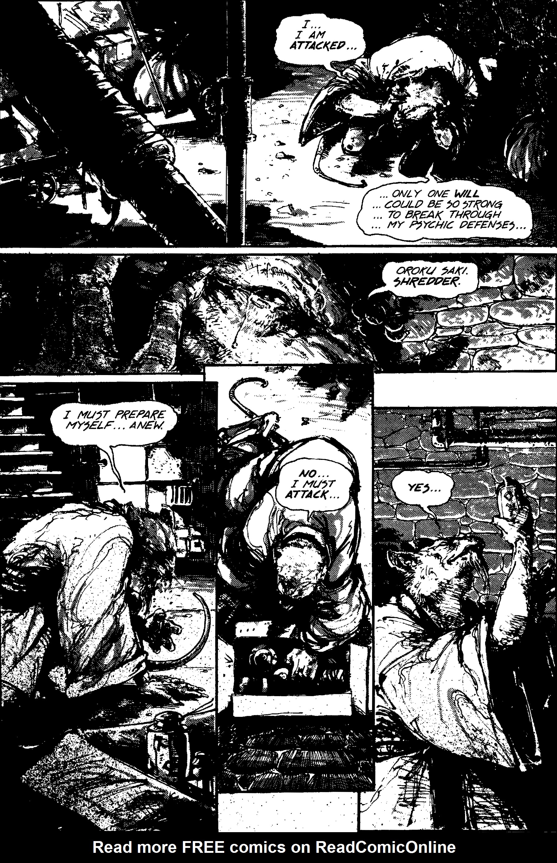 Teenage Mutant Ninja Turtles (1984) Issue #31 #31 - English 8