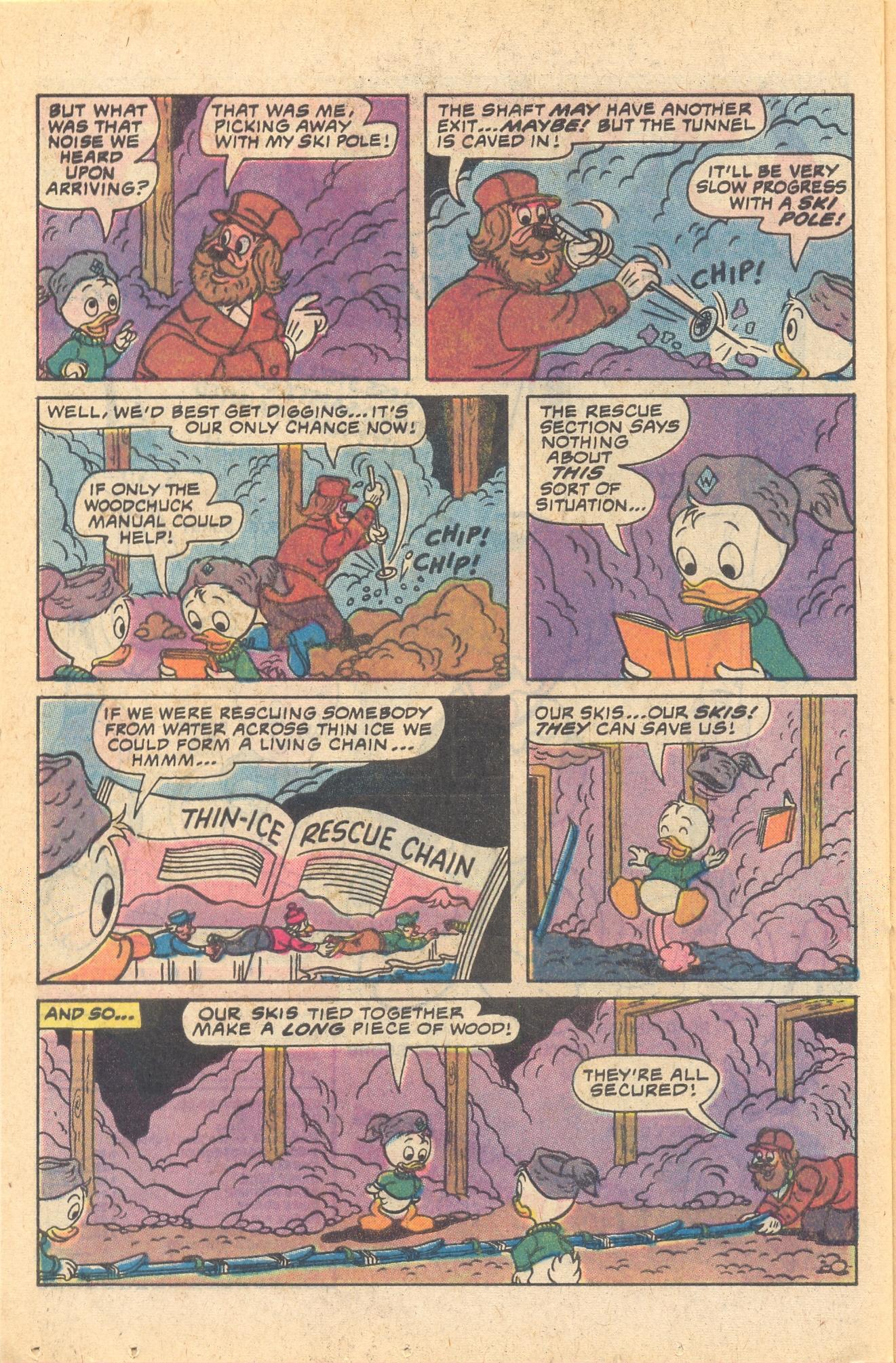 Read online Huey, Dewey, and Louie Junior Woodchucks comic -  Issue #66 - 24