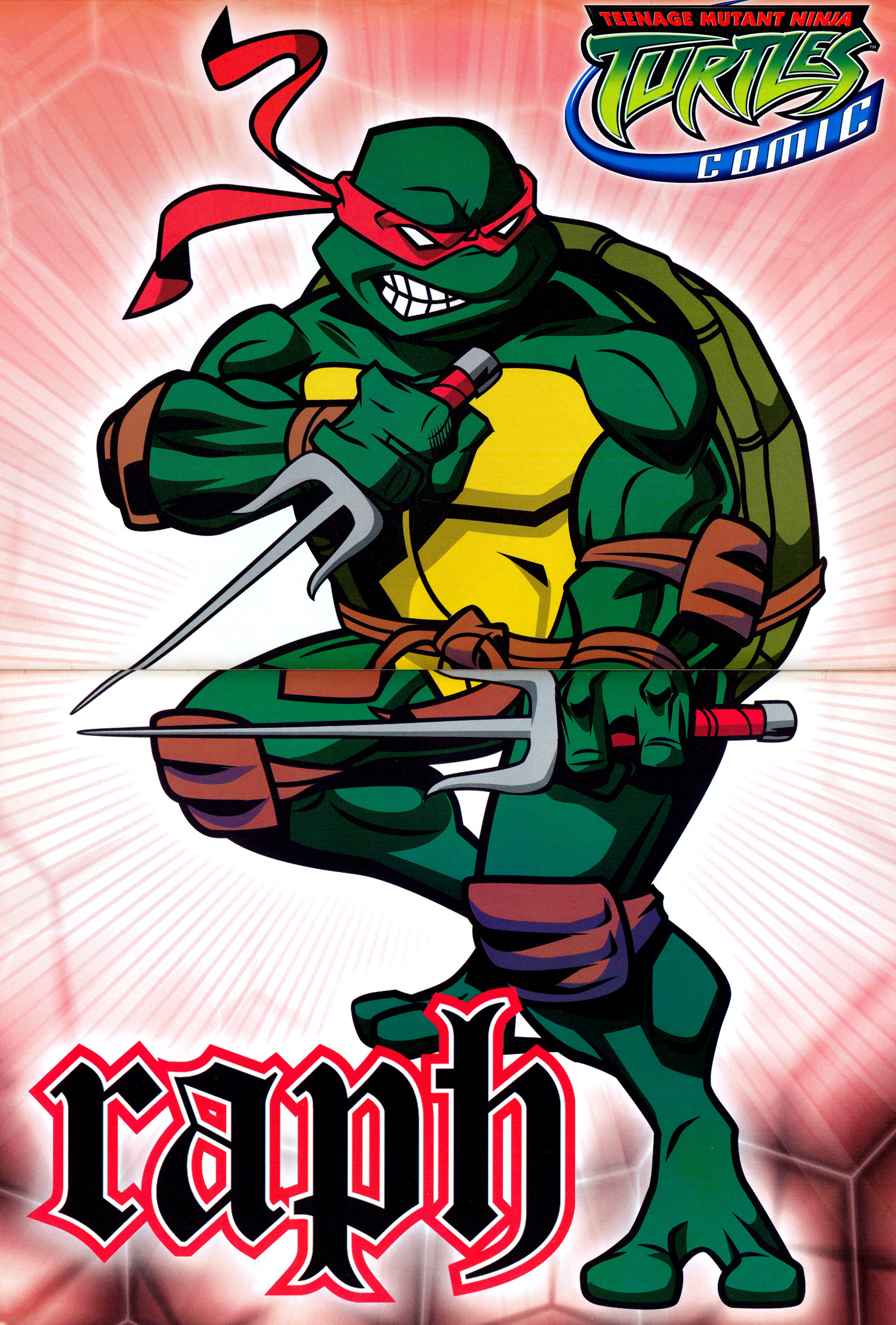 Read online Teenage Mutant Ninja Turtles Comic comic -  Issue #3 - 23