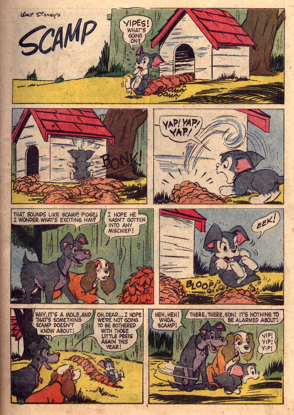 Read online Walt Disney's Comics and Stories comic -  Issue #224 - 13