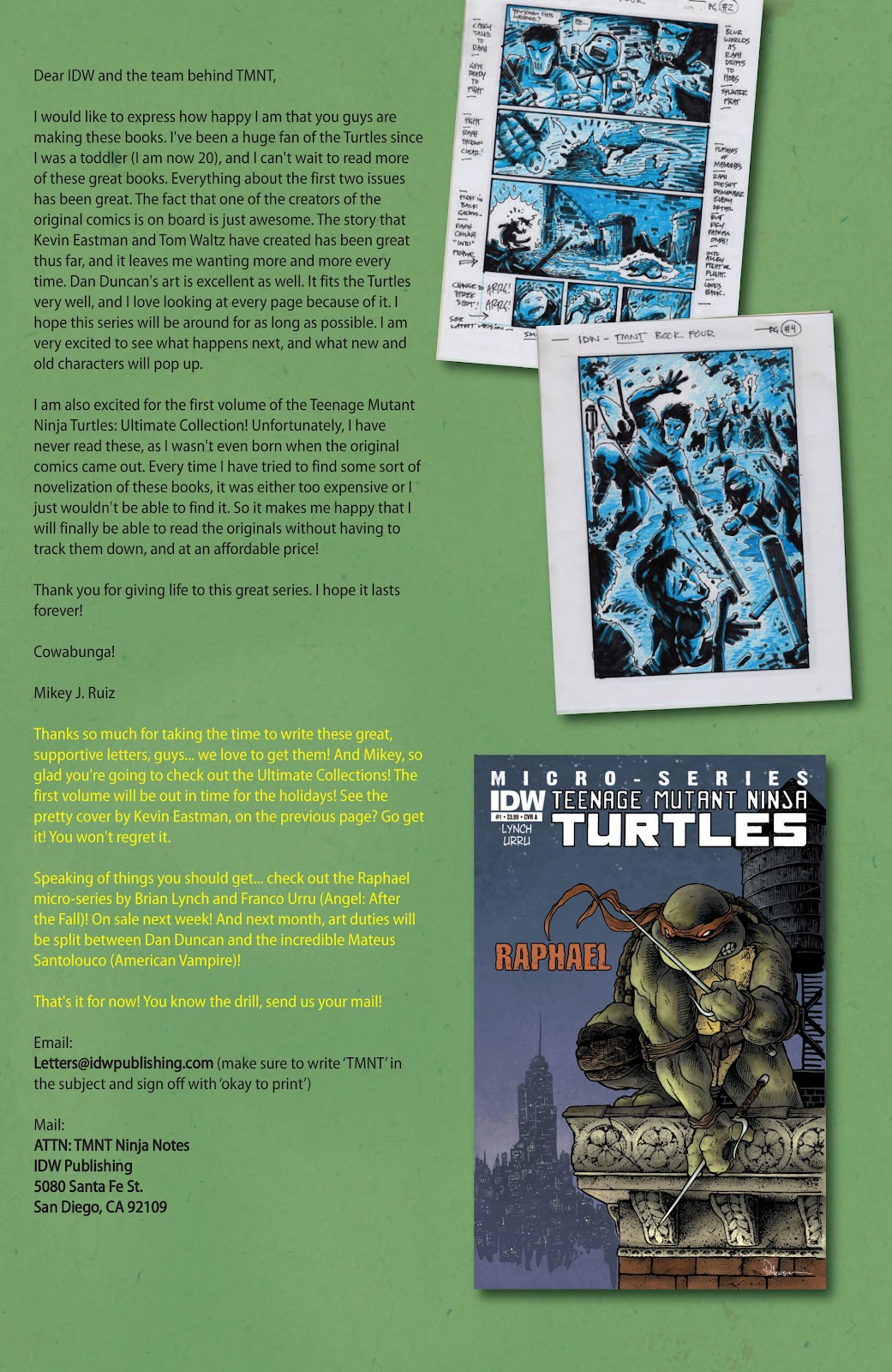 Teenage Mutant Ninja Turtles (2011) issue 4 - Page 30