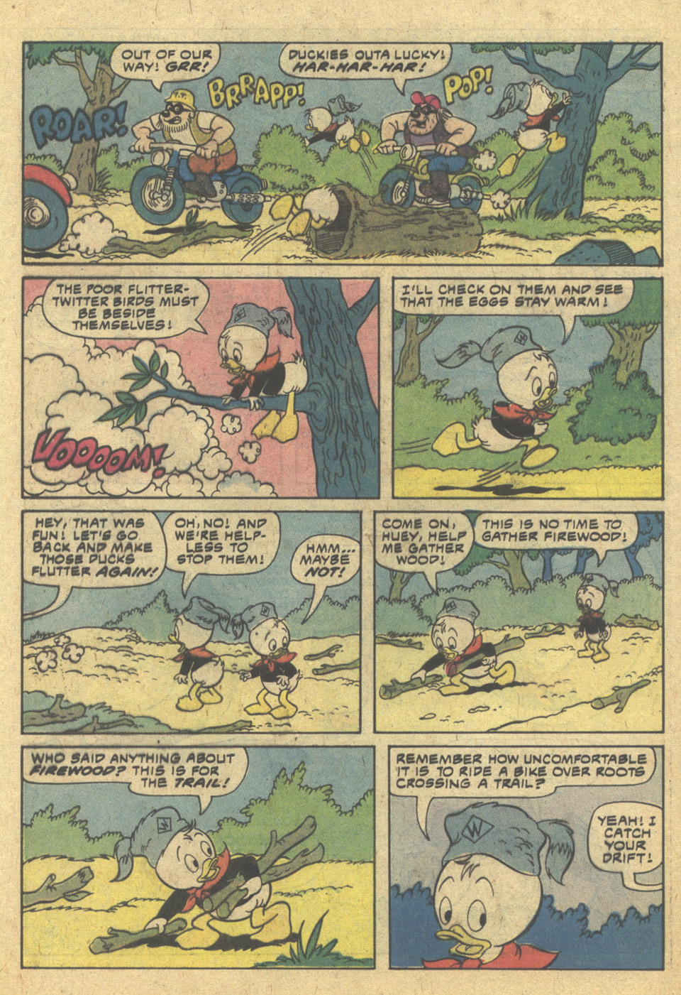 Read online Huey, Dewey, and Louie Junior Woodchucks comic -  Issue #62 - 25