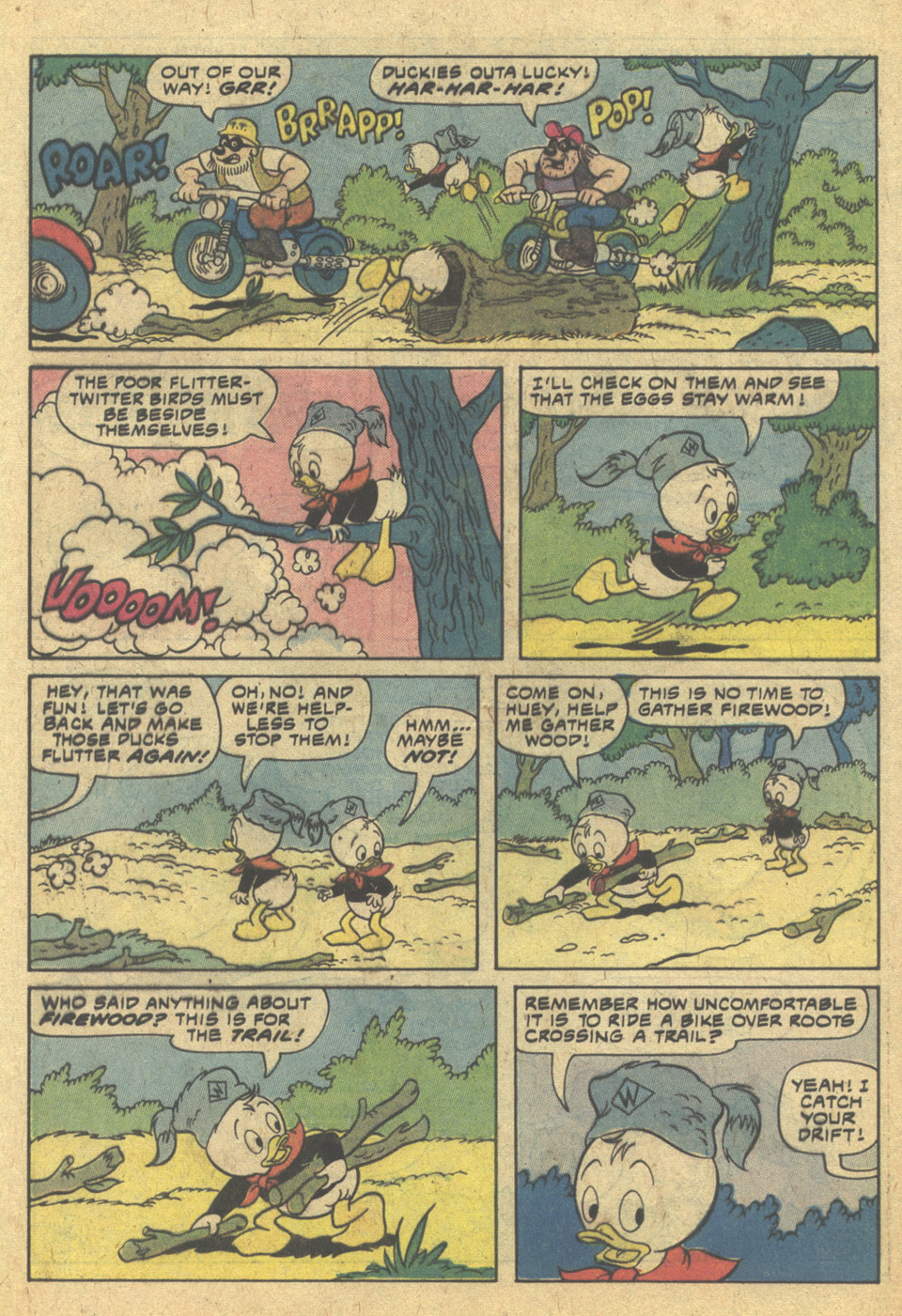 Huey, Dewey, and Louie Junior Woodchucks issue 62 - Page 25