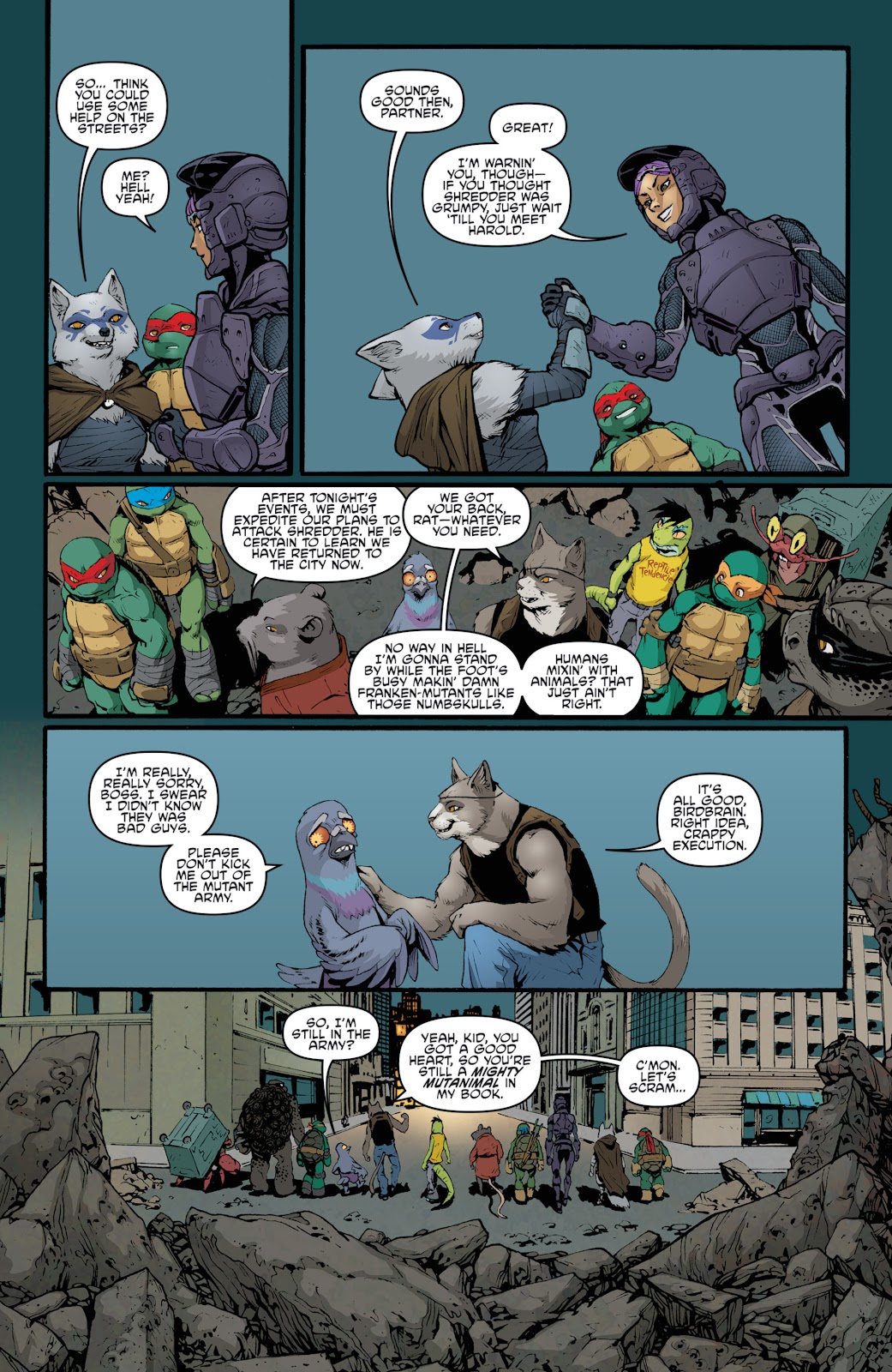 Teenage Mutant Ninja Turtles (2011) issue 40 - Page 23