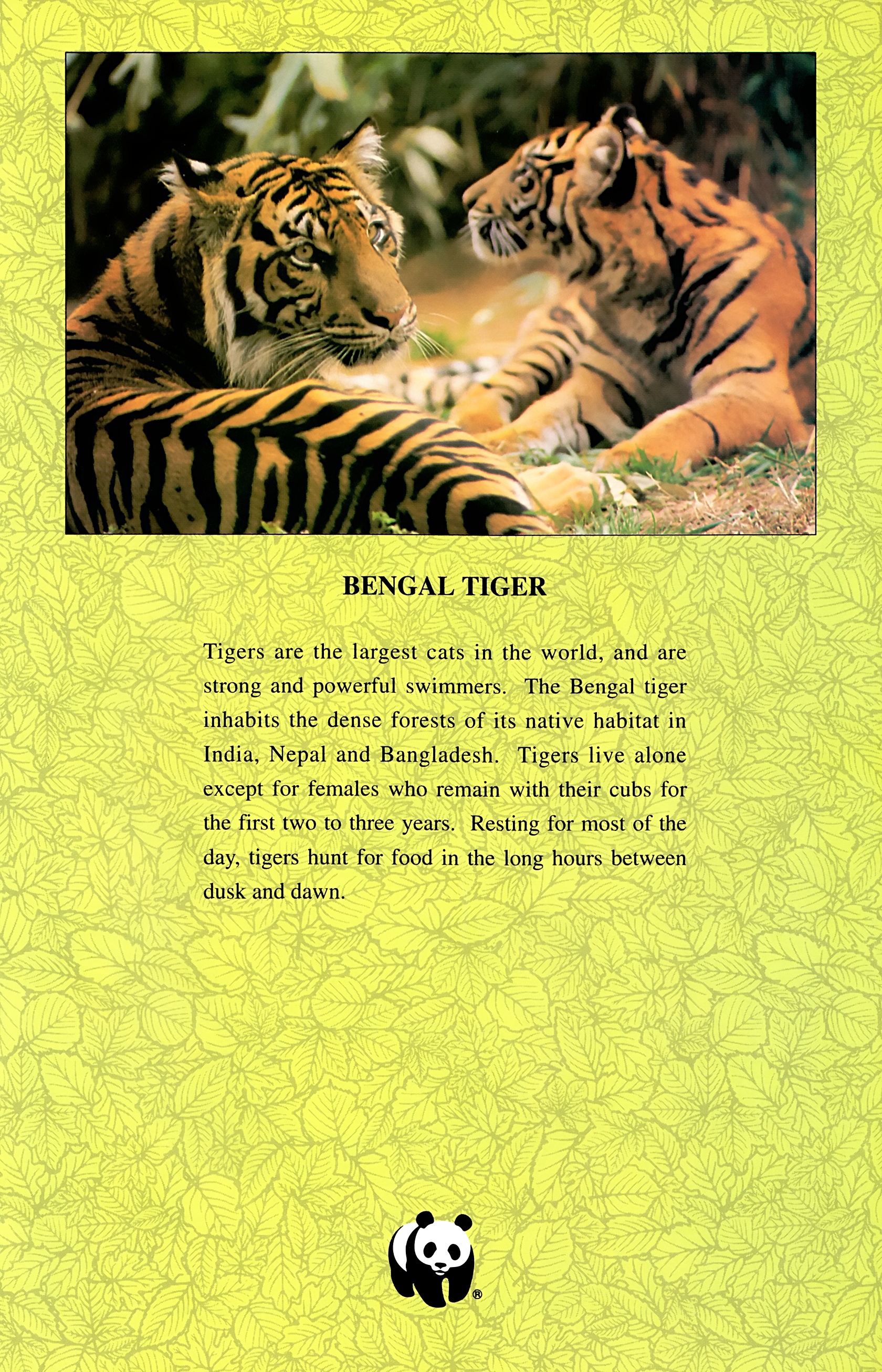 Read online Wolverine: Global Jeopardy comic -  Issue # Full - 13