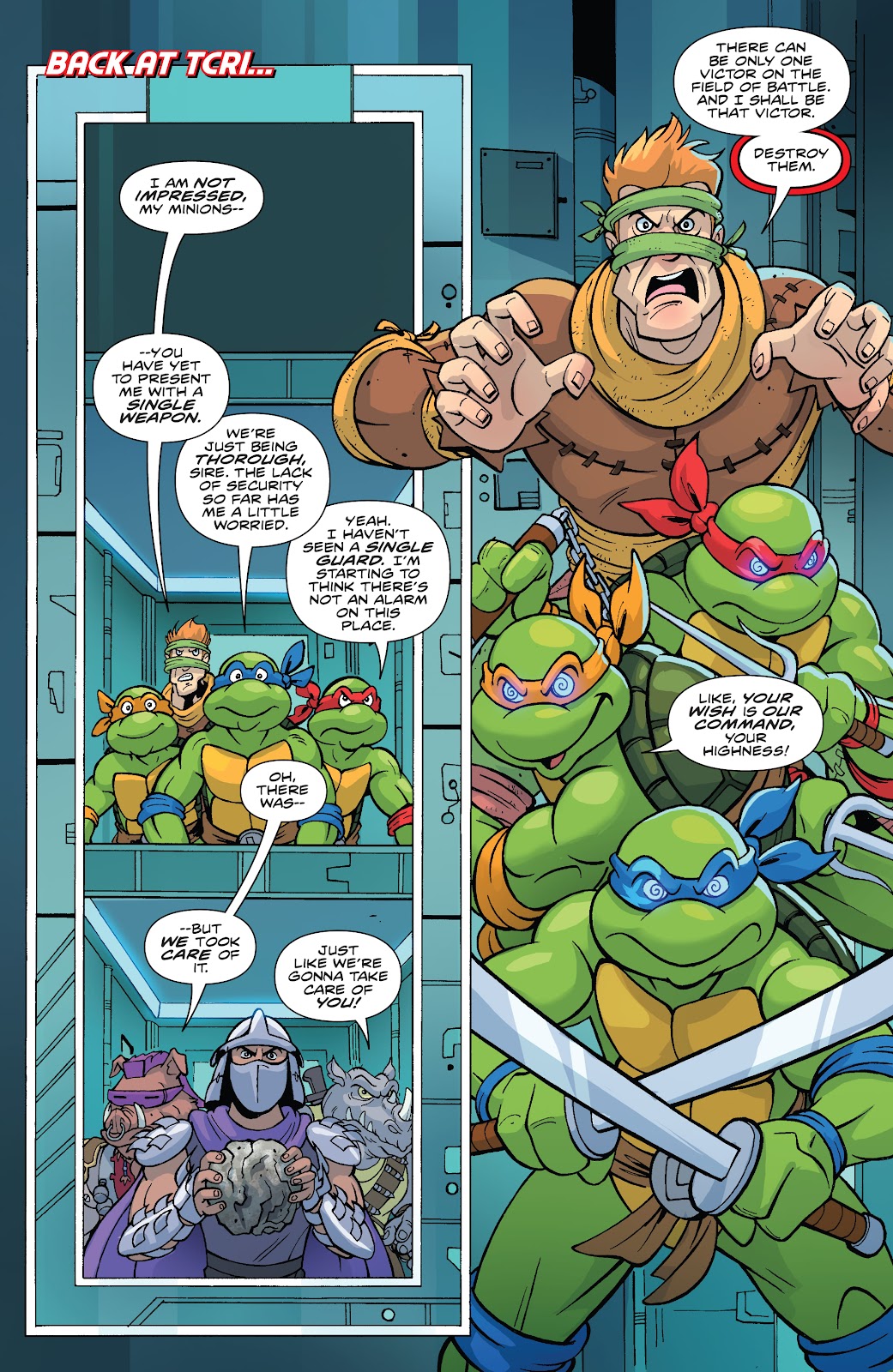 Teenage Mutant Ninja Turtles: Saturday Morning Adventures Continued issue 1 - Page 14
