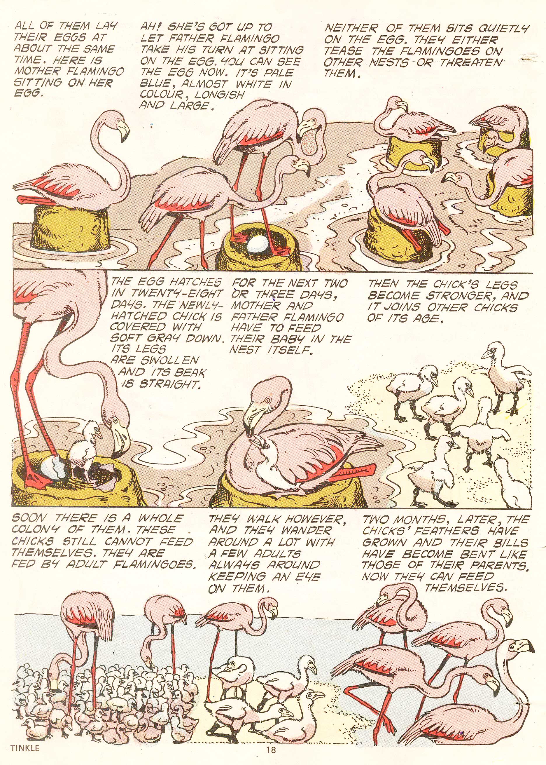 Read online Tinkle comic -  Issue #7 - 20