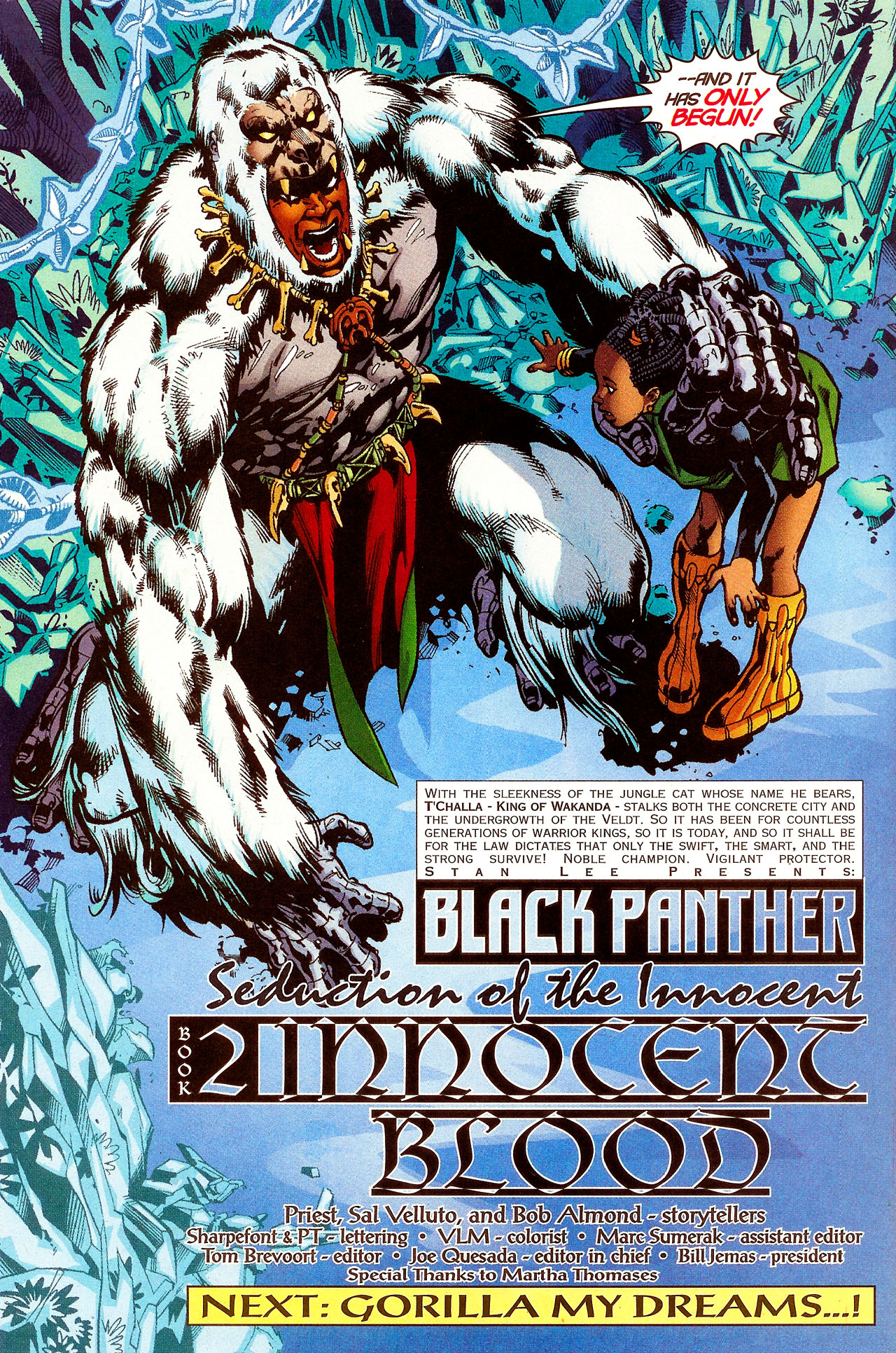 Read online Black Panther (1998) comic -  Issue #32 - 24