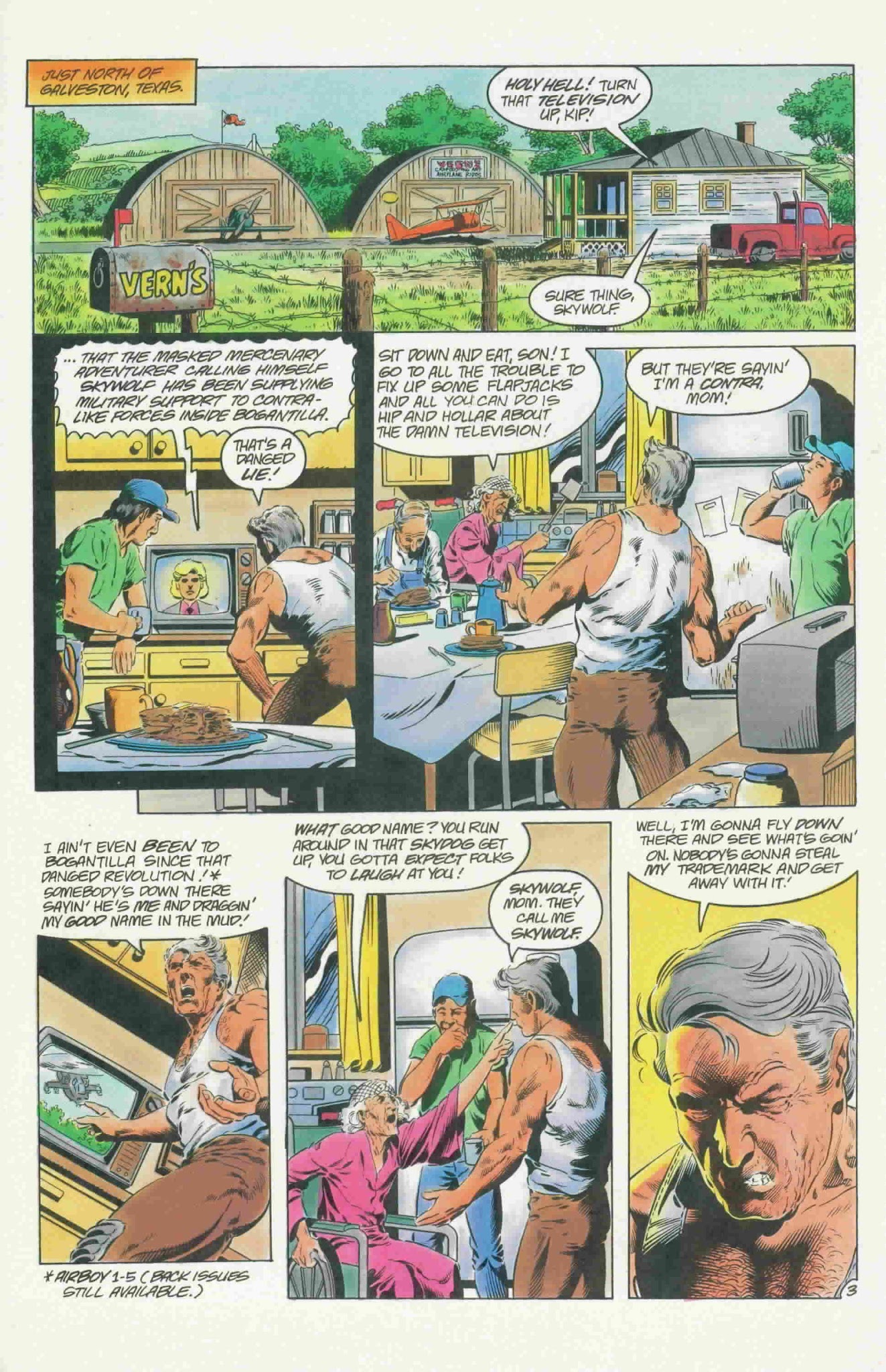 Read online Airboy (1986) comic -  Issue #33 - 5