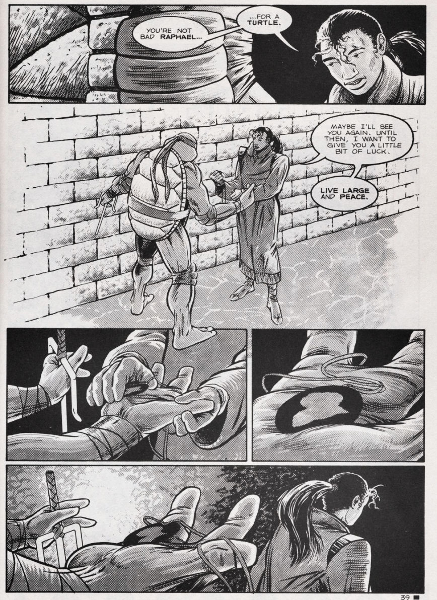 Teenage Mutant Ninja Turtles (1984) Issue #44 #44 - English 39