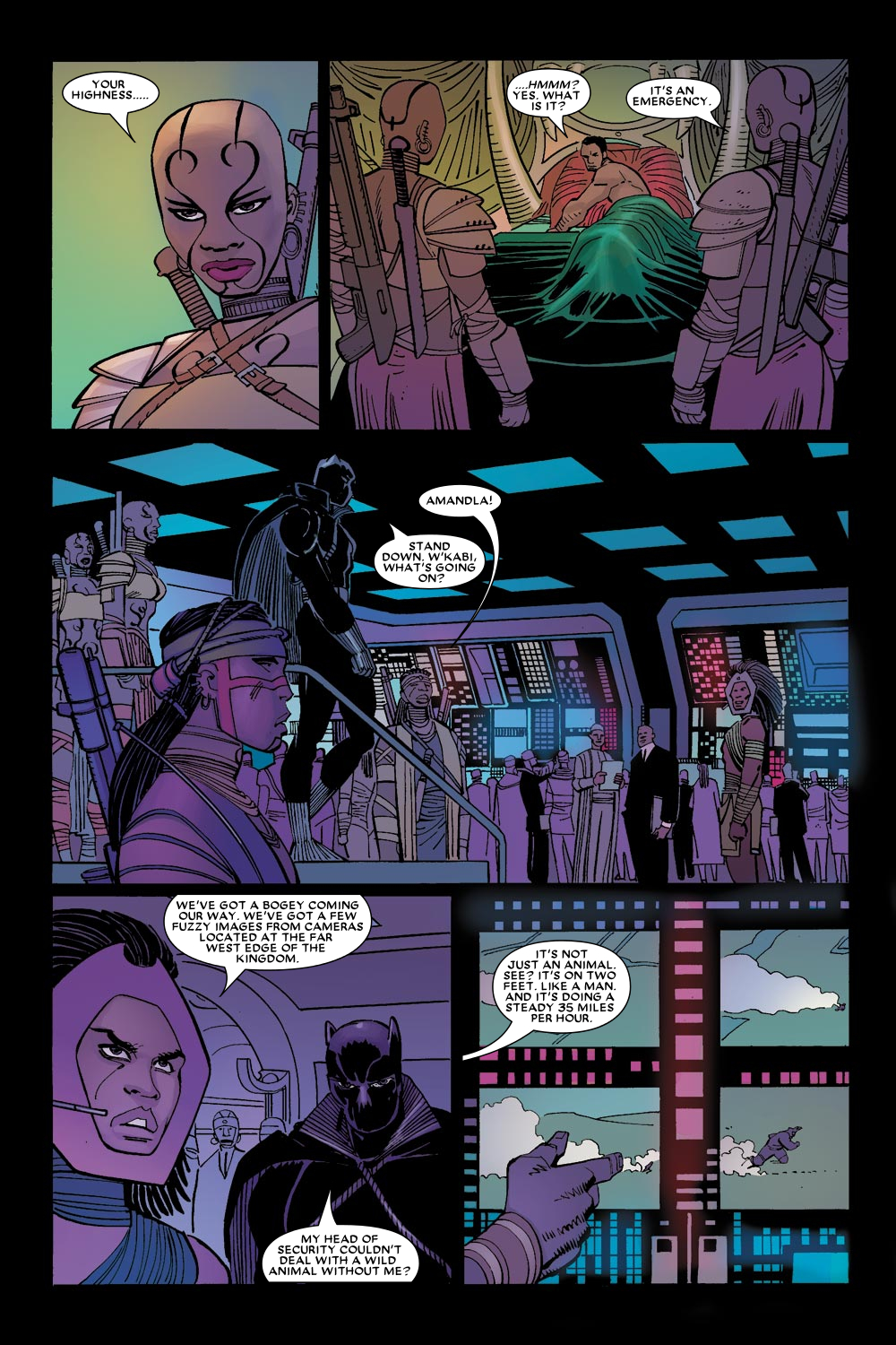 Read online Black Panther (2005) comic -  Issue #4 - 13