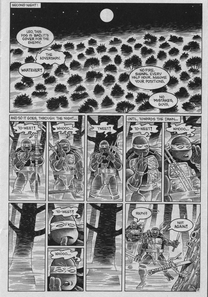 Teenage Mutant Ninja Turtles (1984) Issue #37 #37 - English 17