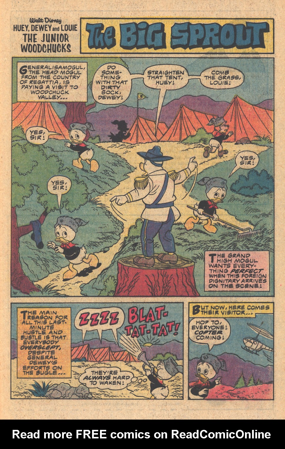 Read online Huey, Dewey, and Louie Junior Woodchucks comic -  Issue #63 - 13