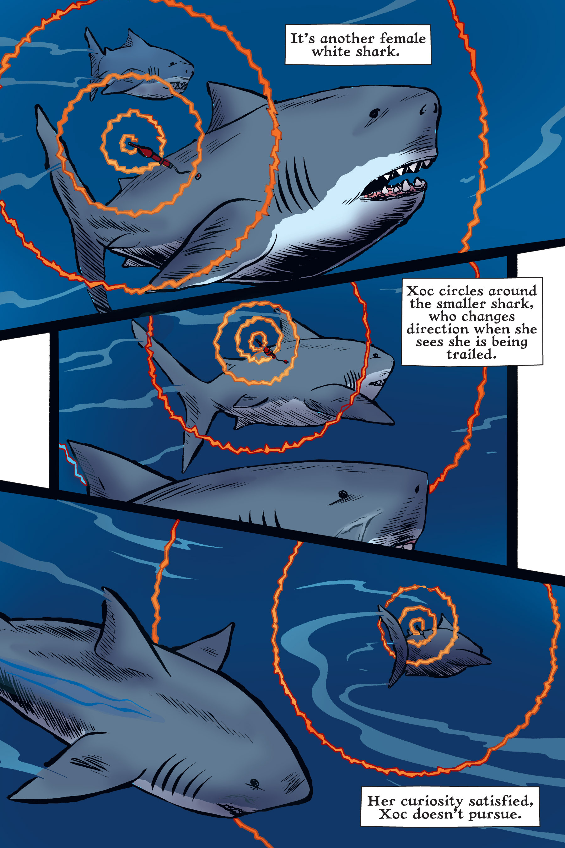 Read online Xoc: Journey of a Great White comic -  Issue # TPB - 116