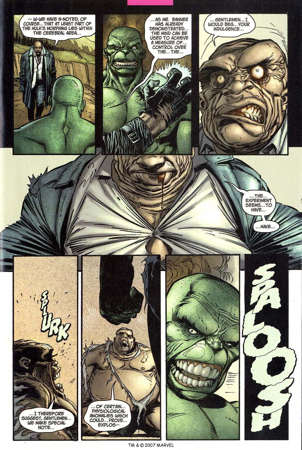 The Incredible Hulk (2000) Issue #43 #32 - English 27