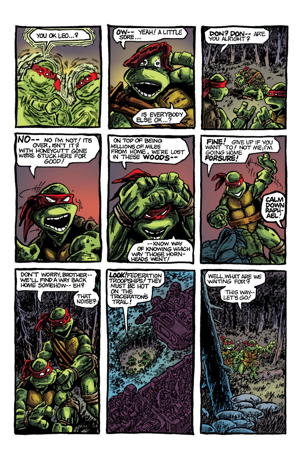 Teenage Mutant Ninja Turtles Color Classics (2012) issue 5 - Page 29
