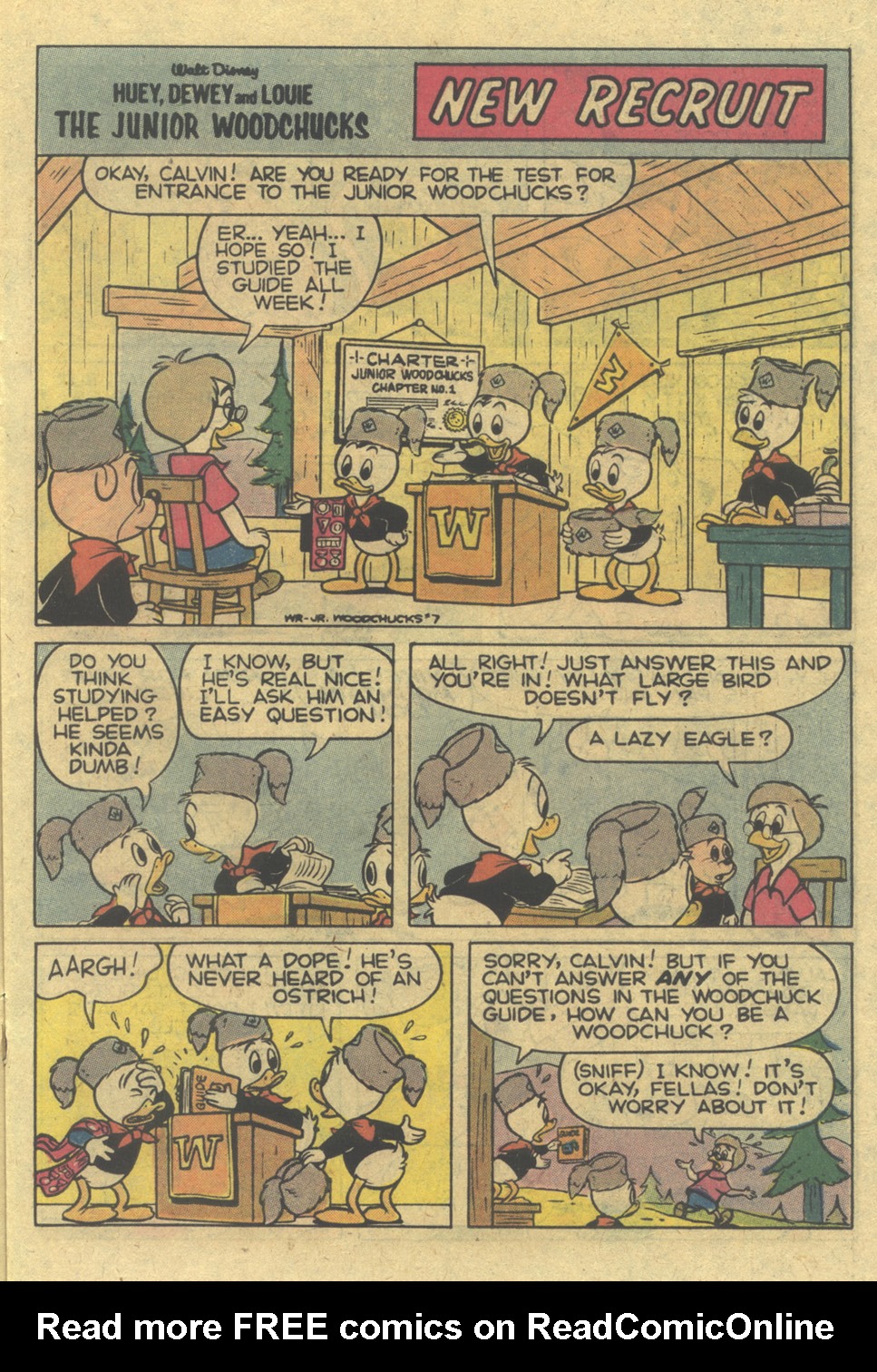 Read online Huey, Dewey, and Louie Junior Woodchucks comic -  Issue #45 - 15