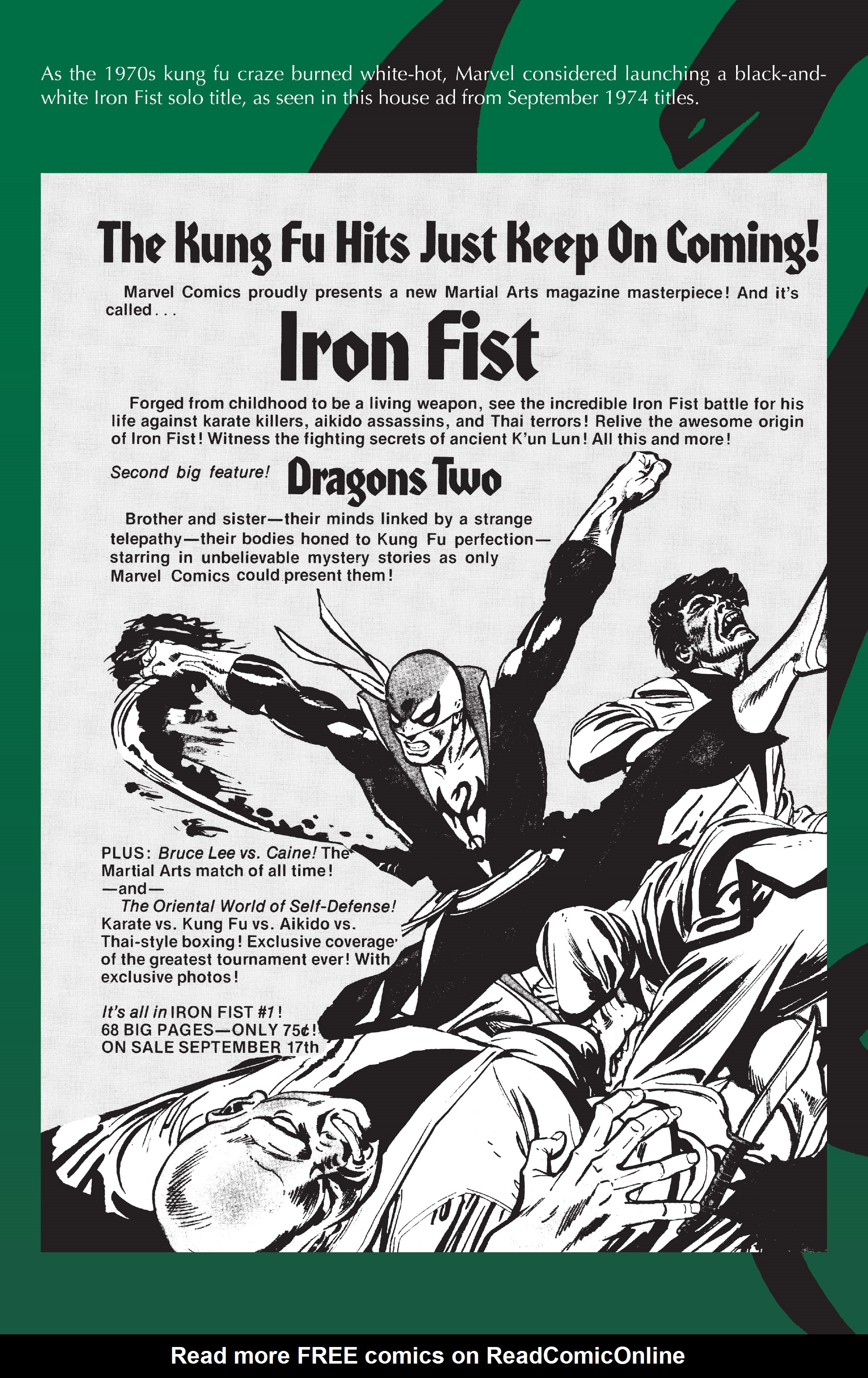 Read online Iron Fist: The Deadly Hands of Kung Fu: The Complete Collection comic -  Issue # TPB (Part 4) - 46