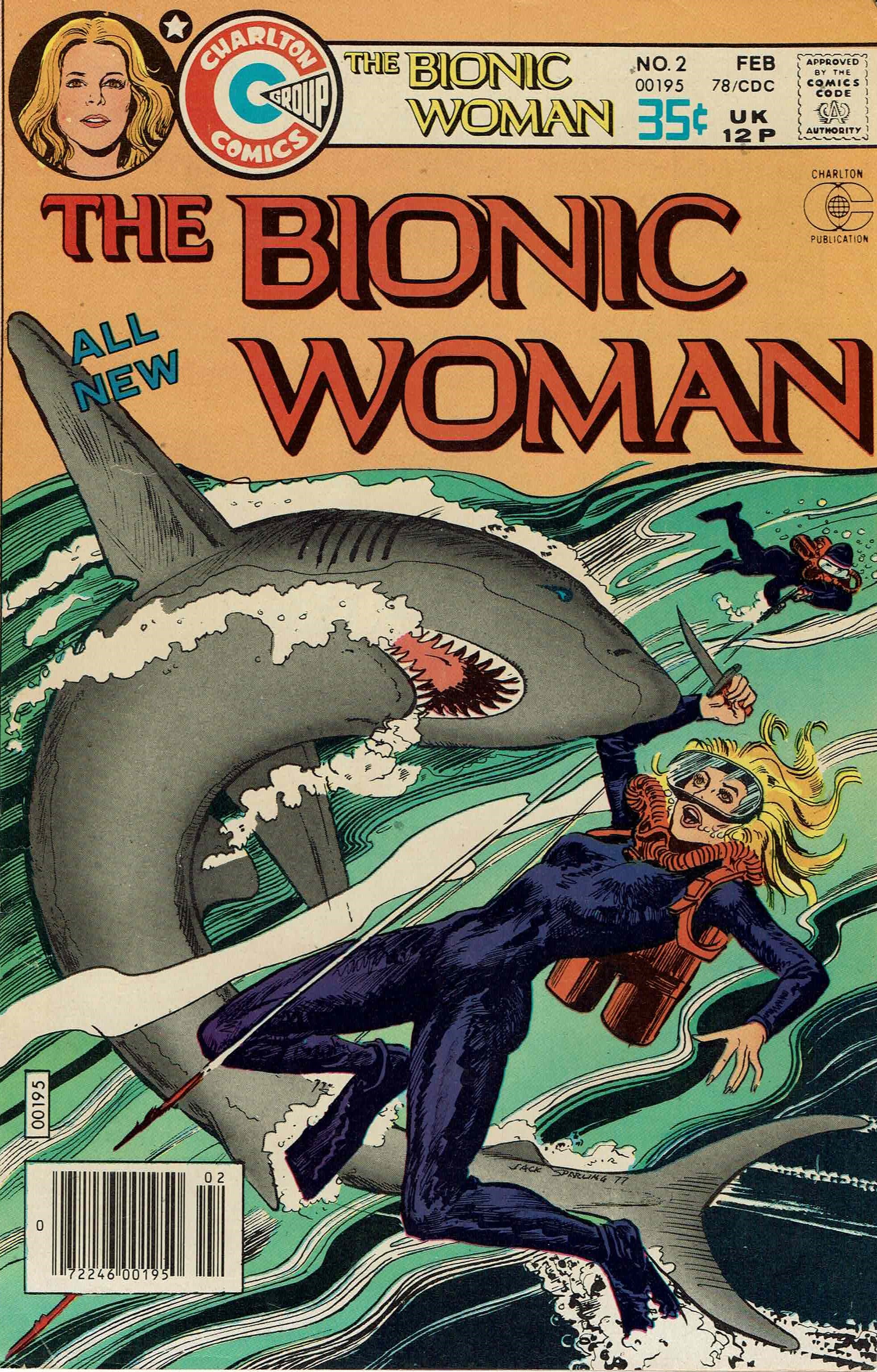 Read online Bionic Woman comic -  Issue #2 - 1