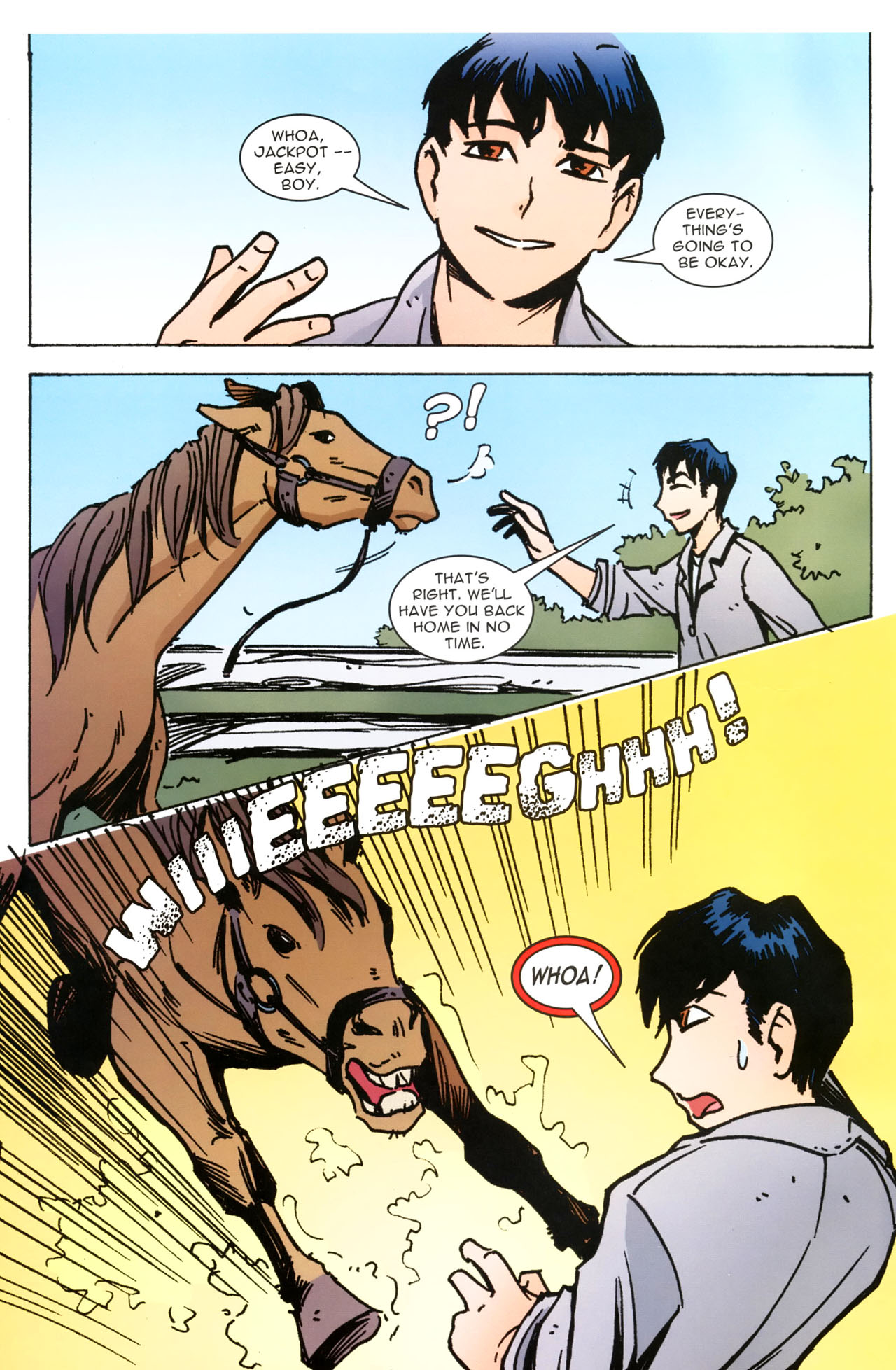 Read online The Hardy Boys comic -  Issue #1 - 5