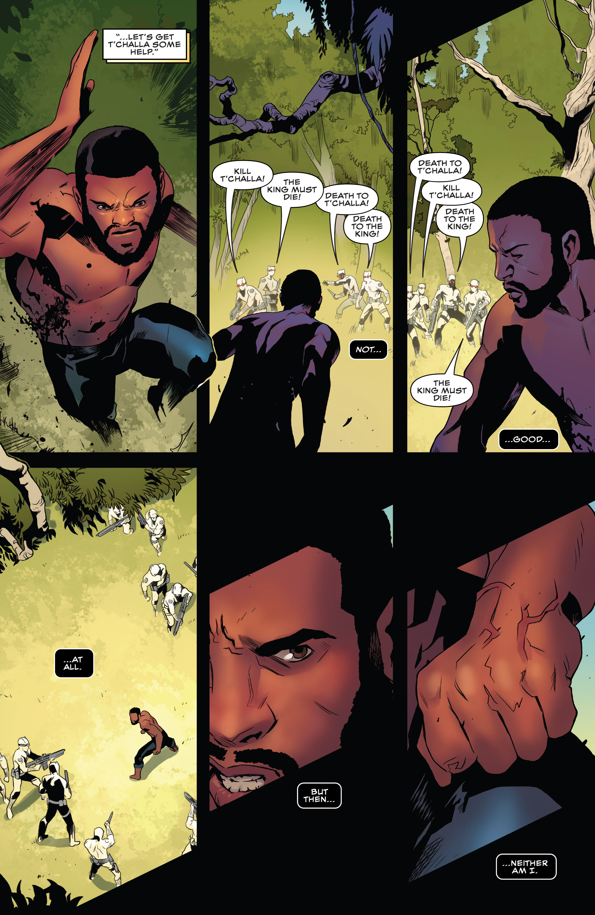 Read online Black Panther (2021) comic -  Issue #6 - 12