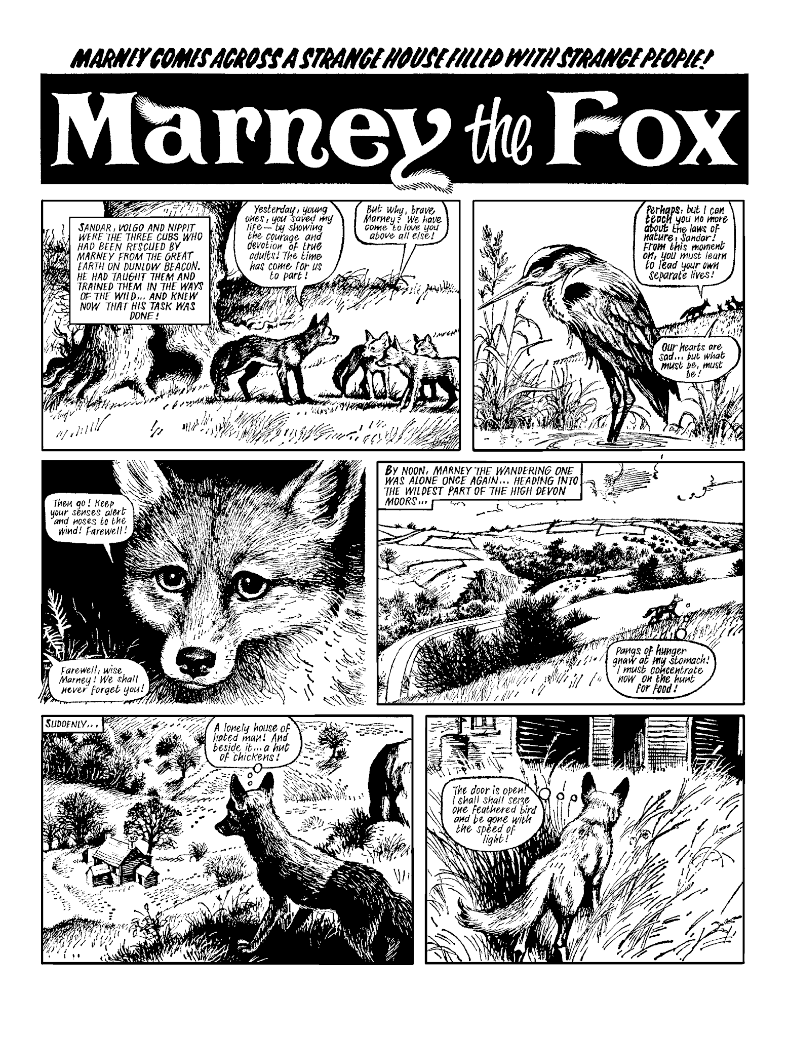 Read online Marney the Fox comic -  Issue # TPB (Part 2) - 94
