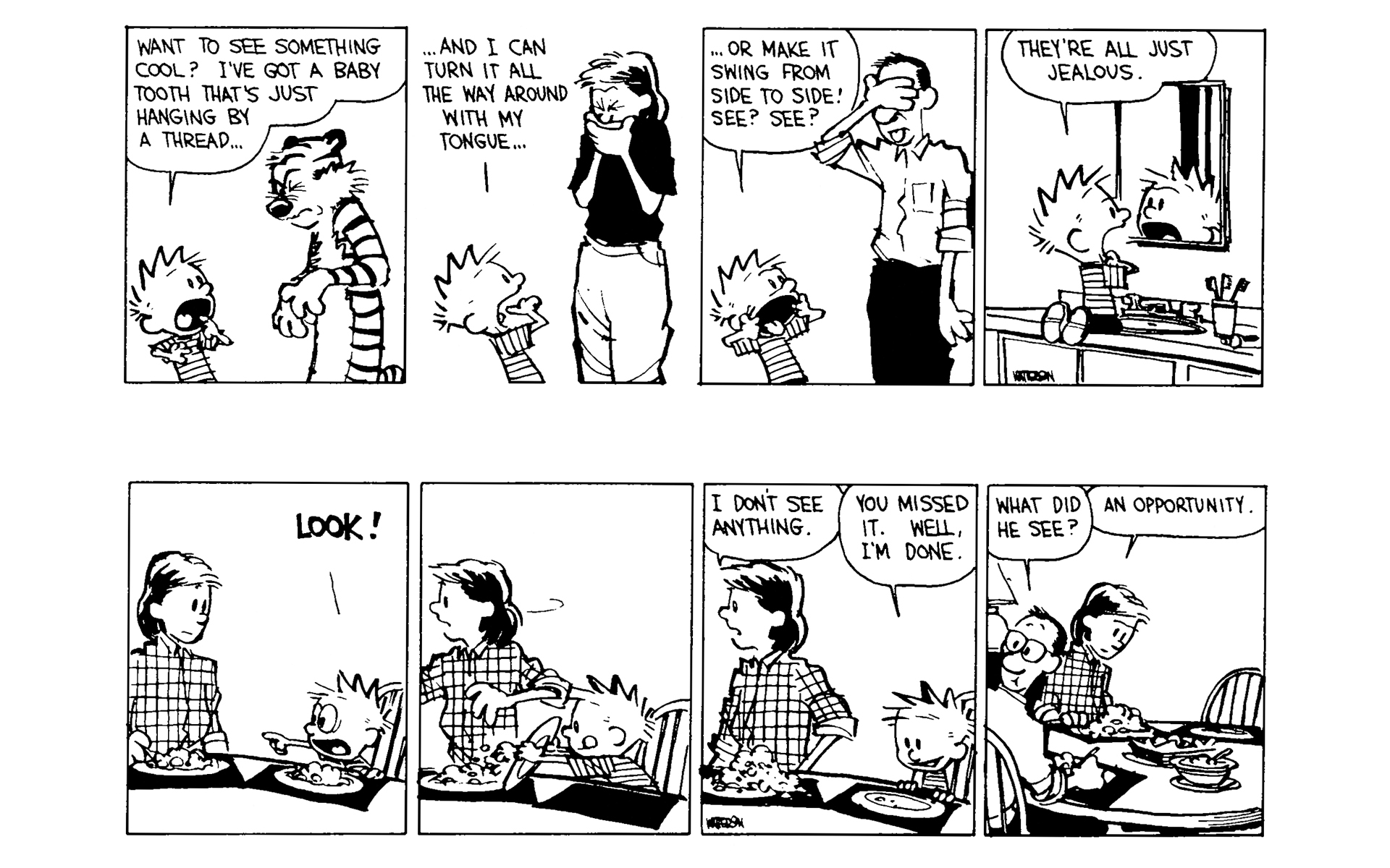 Read online Calvin and Hobbes comic -  Issue #6 - 162