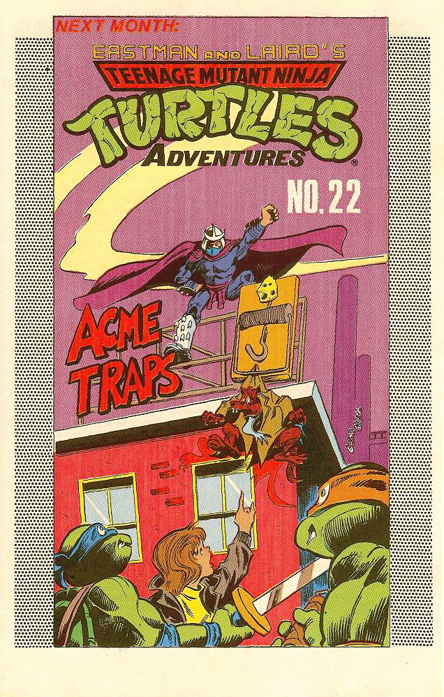 Read online Teenage Mutant Ninja Turtles Adventures (1989) comic -  Issue #21 - 28