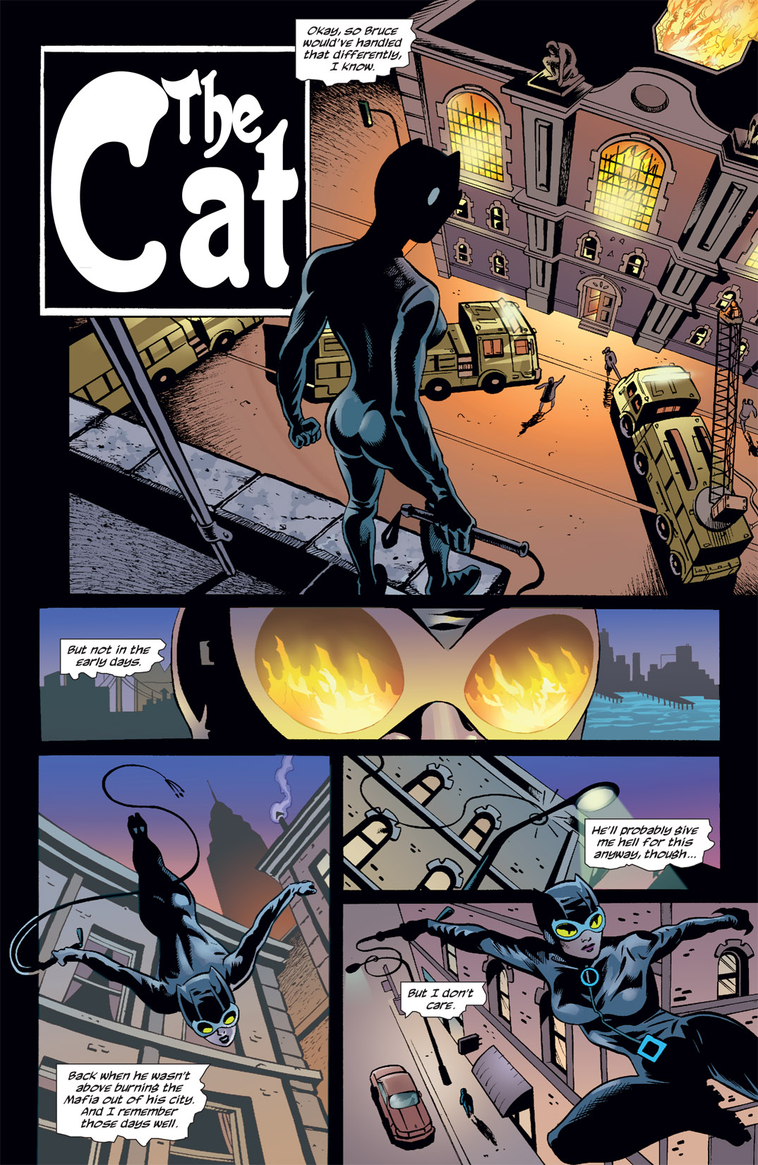 Read online Catwoman (2002) comic -  Issue #33 - 20