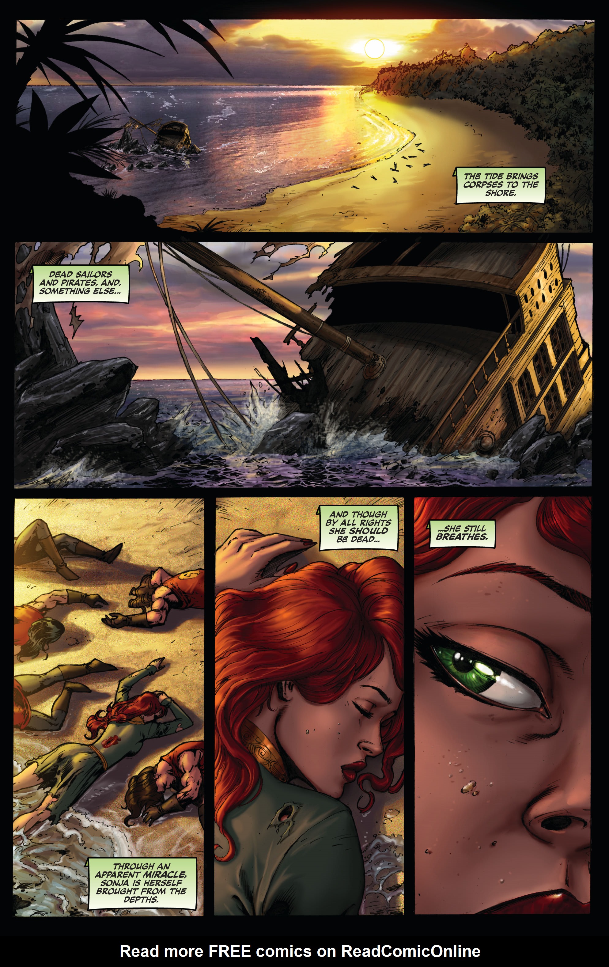 Read online Red Sonja Omnibus comic -  Issue # TPB 3 (Part 1) - 41