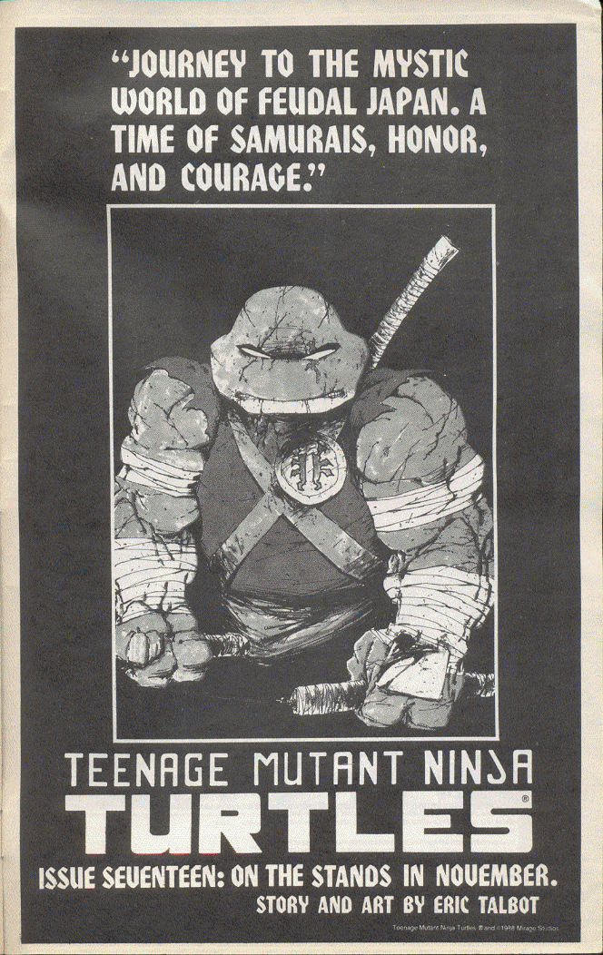 Teenage Mutant Ninja Turtles (1984) Issue #15 #15 - English 42