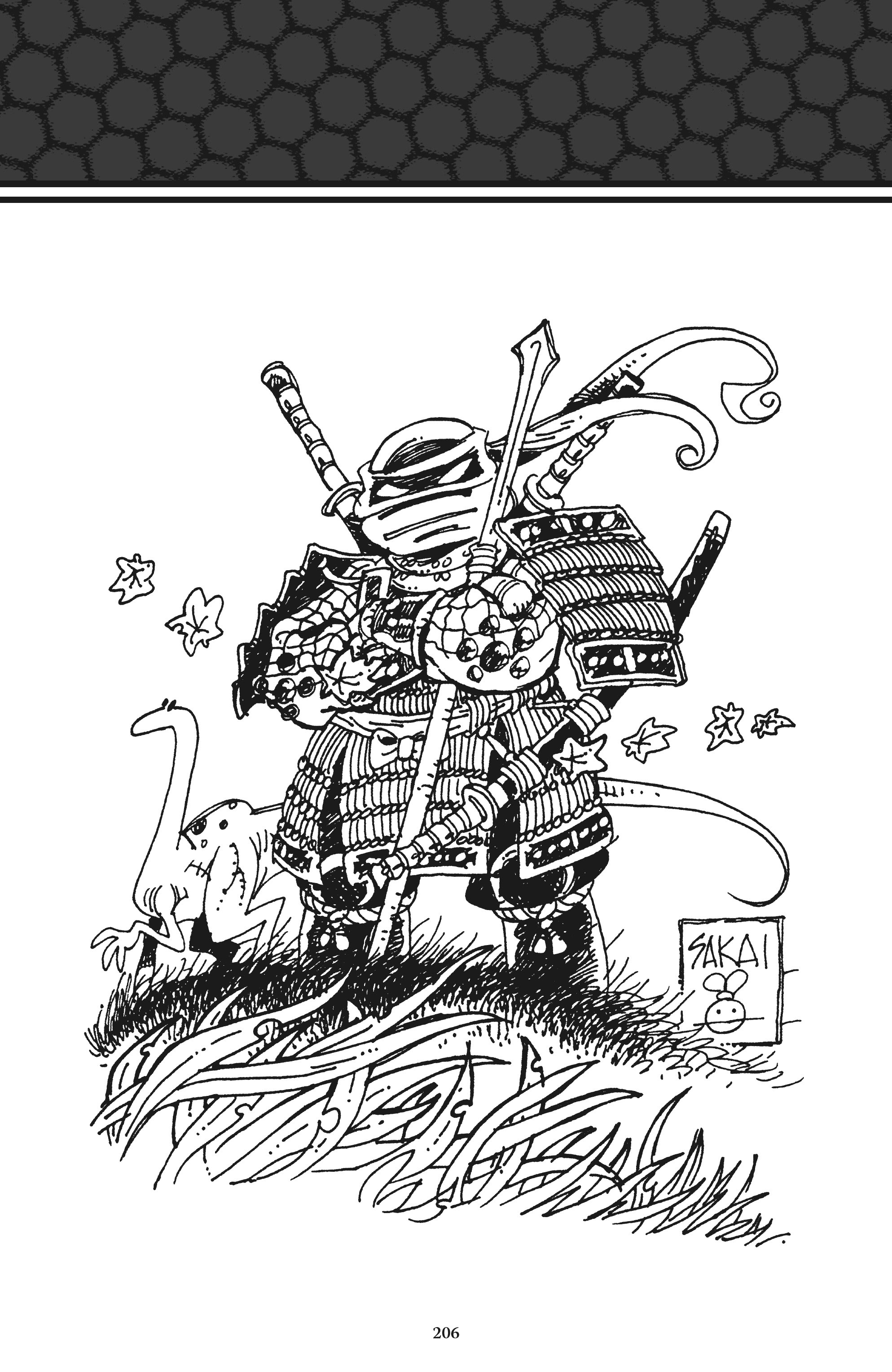 Read online Usagi Yojimbo/Teenage Mutant Ninja Turtles: The Complete Collection comic -  Issue # TPB (Part 2) - 95