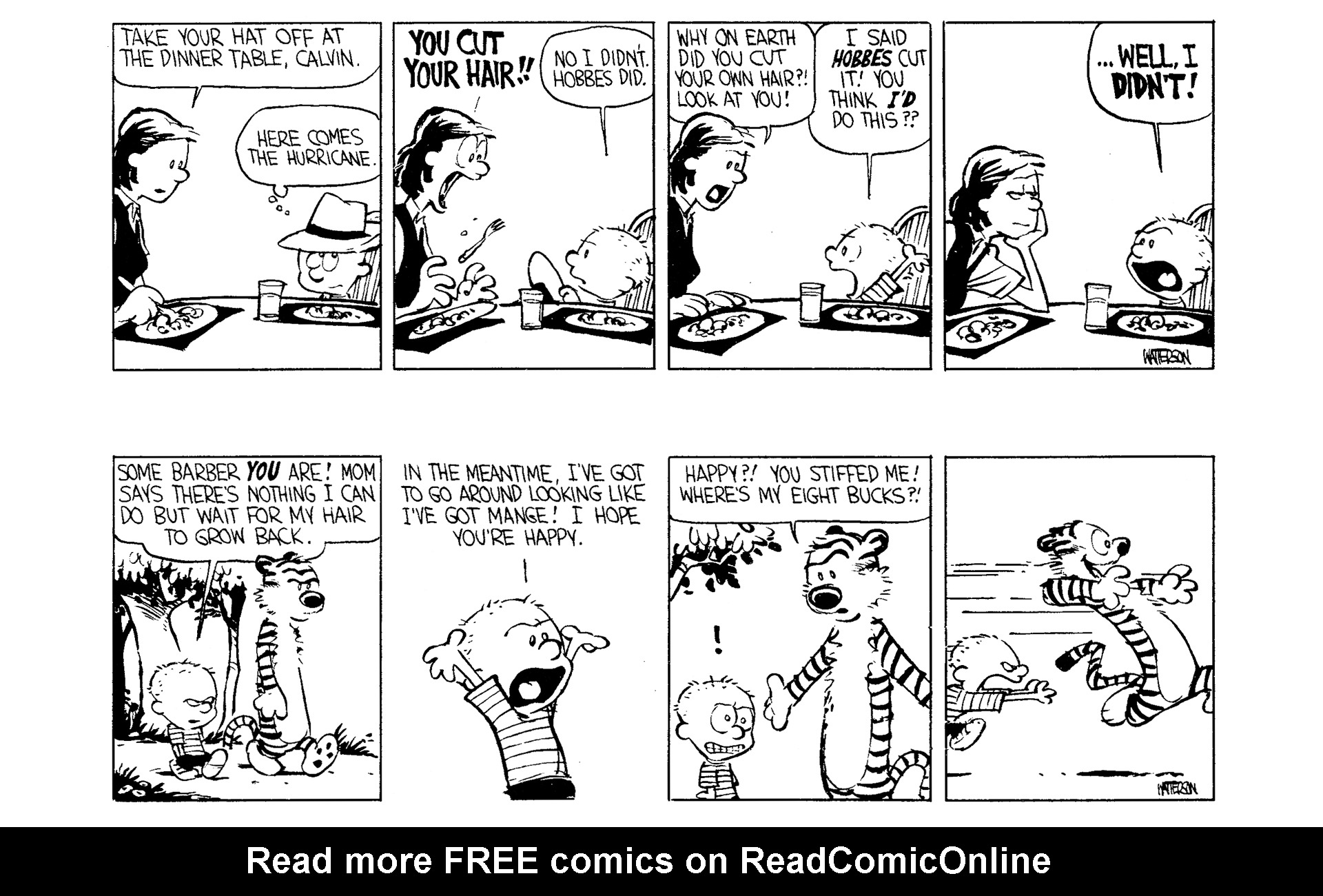 Read online Calvin and Hobbes comic -  Issue #2 - 161