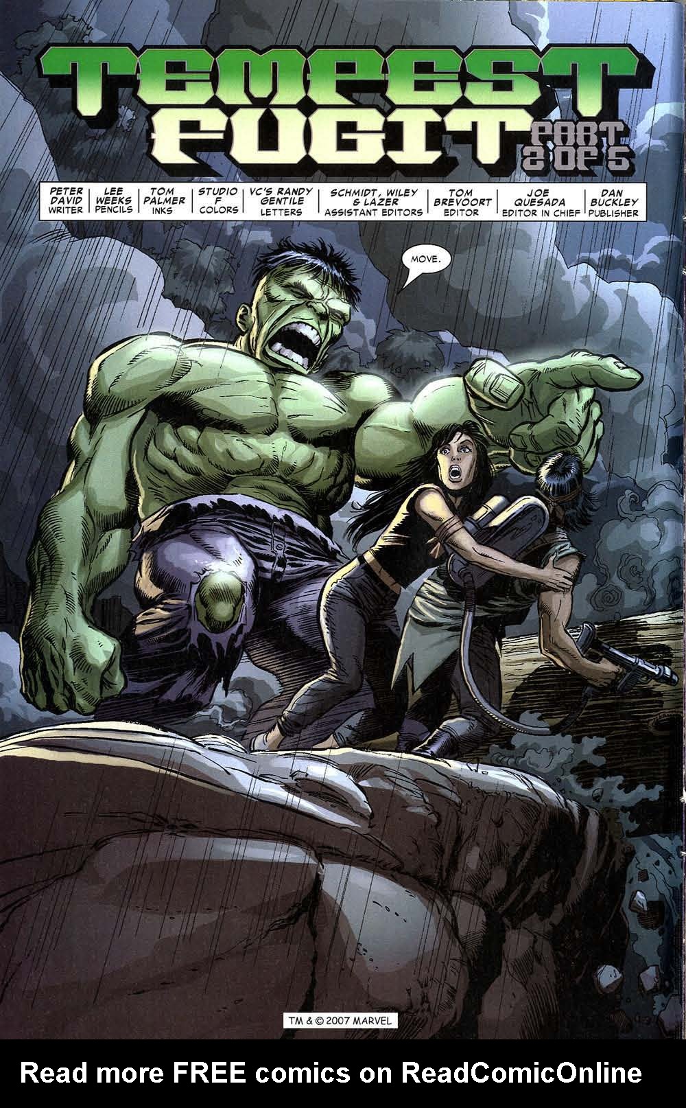 The Incredible Hulk (2000) Issue #78 #67 - English 10