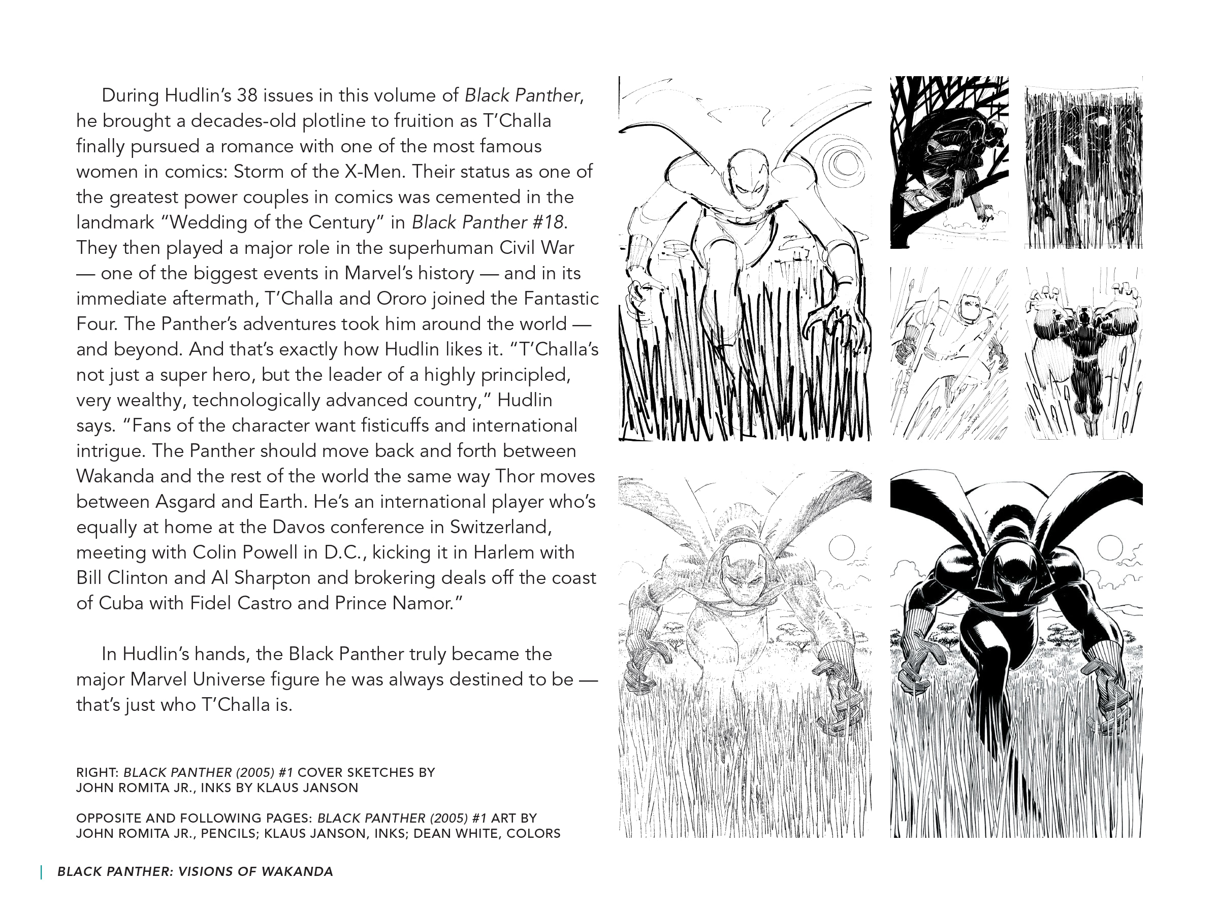 Read online Black Panther: Visions of Wakanda comic -  Issue # TPB (Part 2) - 84