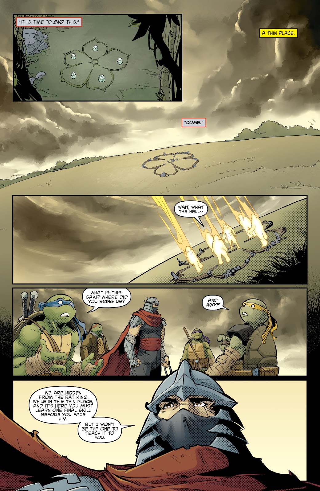 Teenage Mutant Ninja Turtles (2011) issue 139 - Page 3