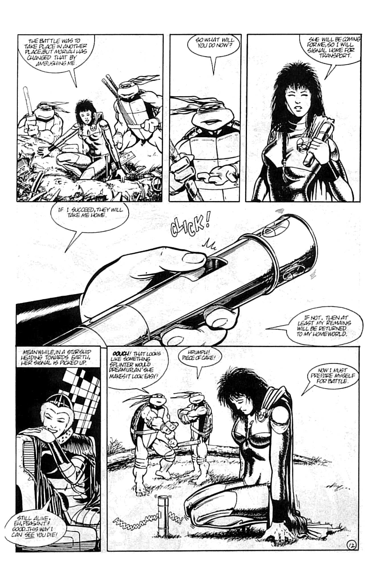 Read online Teenage Mutant Ninja Turtles (1984) comic -  Issue #13 - 16