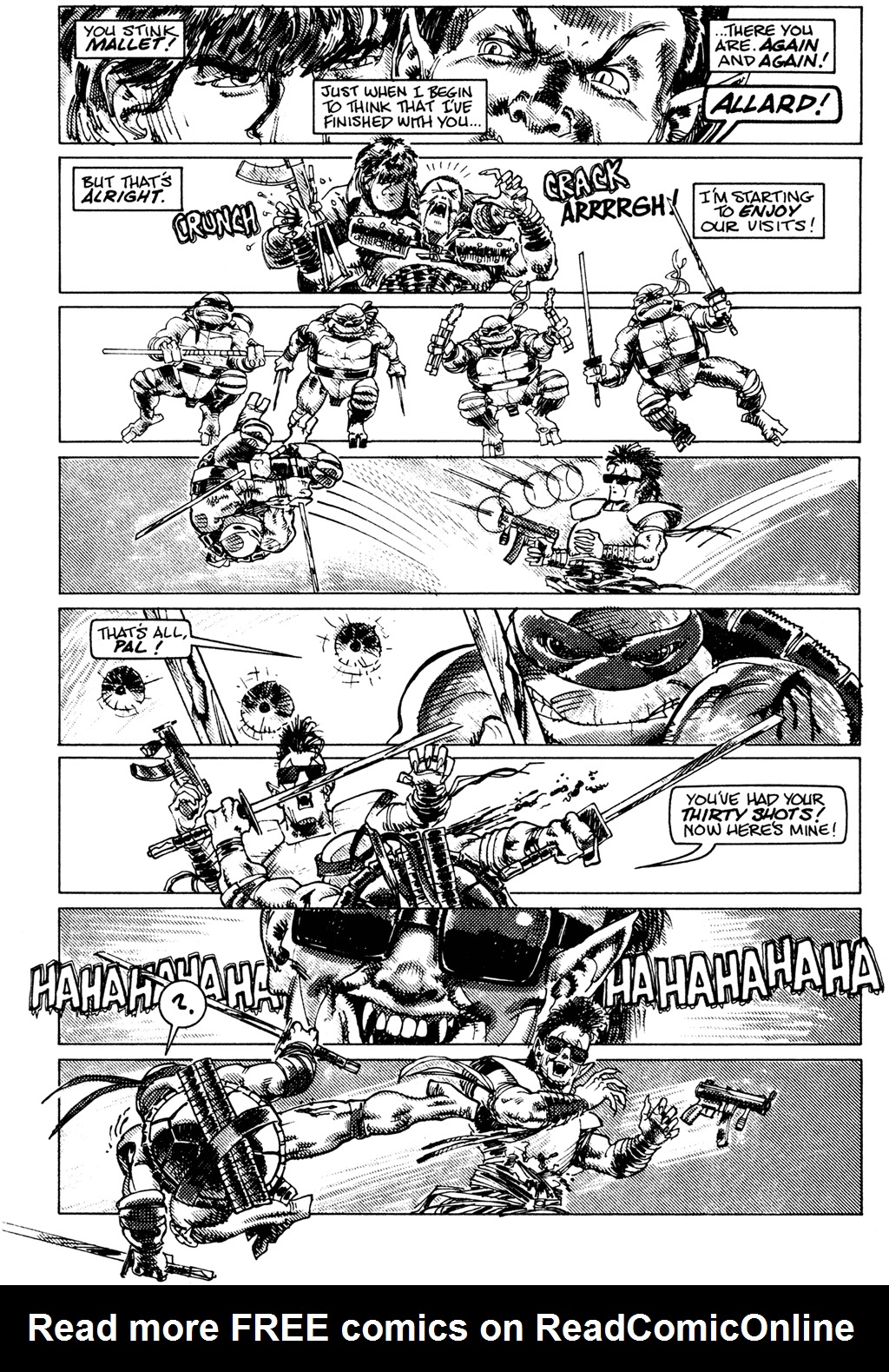 Teenage Mutant Ninja Turtles (1984) Issue #29 #29 - English 14