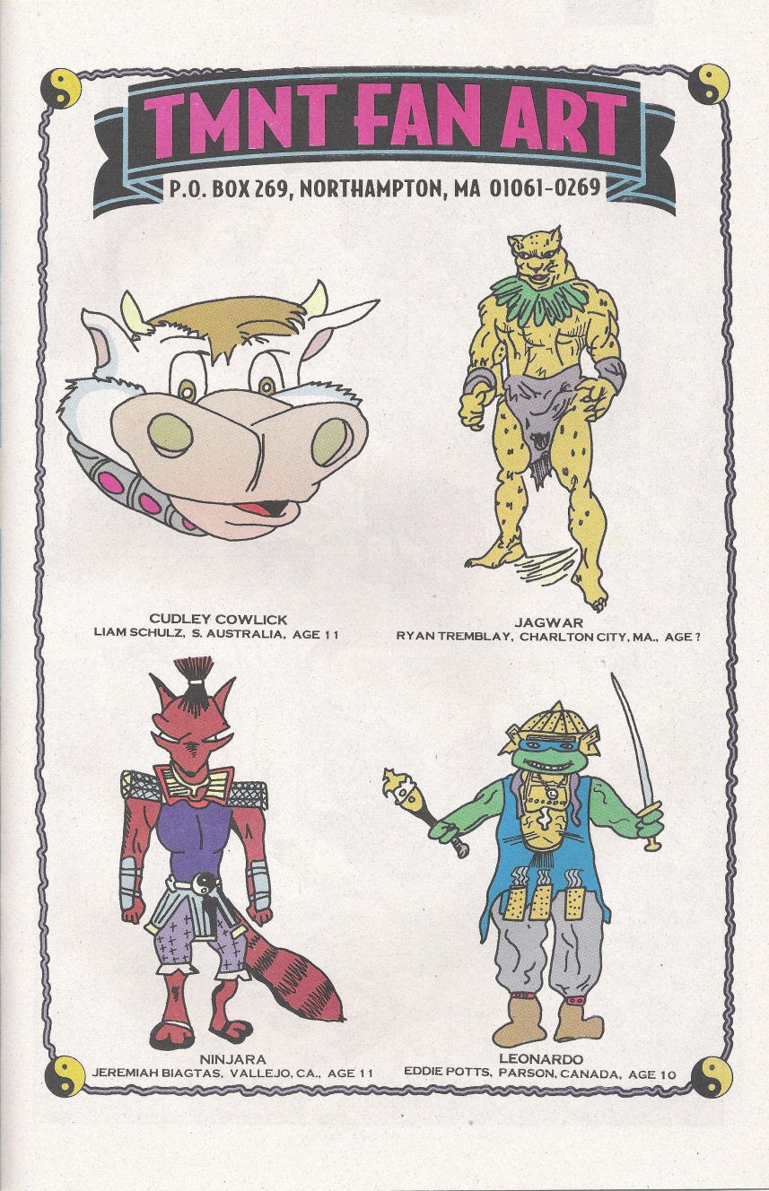 Read online Teenage Mutant Ninja Turtles Adventures (1989) comic -  Issue #68 - 25