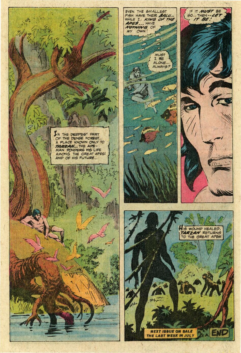 Read online Tarzan (1972) comic -  Issue #253 - 32