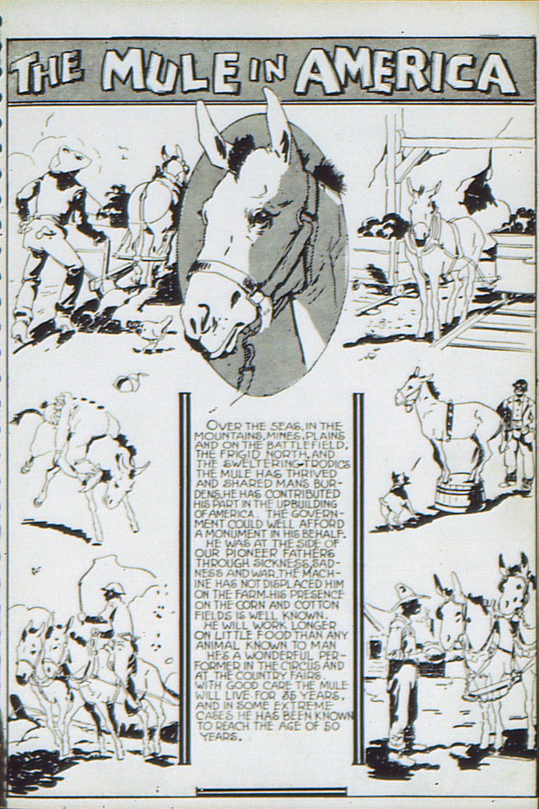 Adventure Comics (1938) issue 19 - Page 68