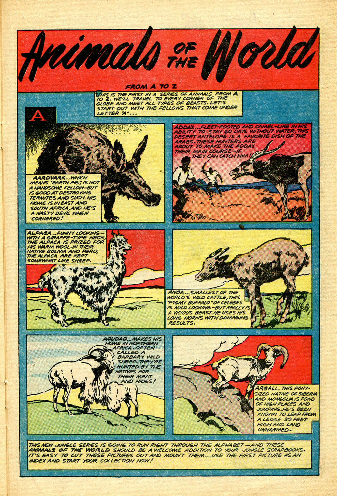 Read online Jungle Comics comic -  Issue #115 - 35