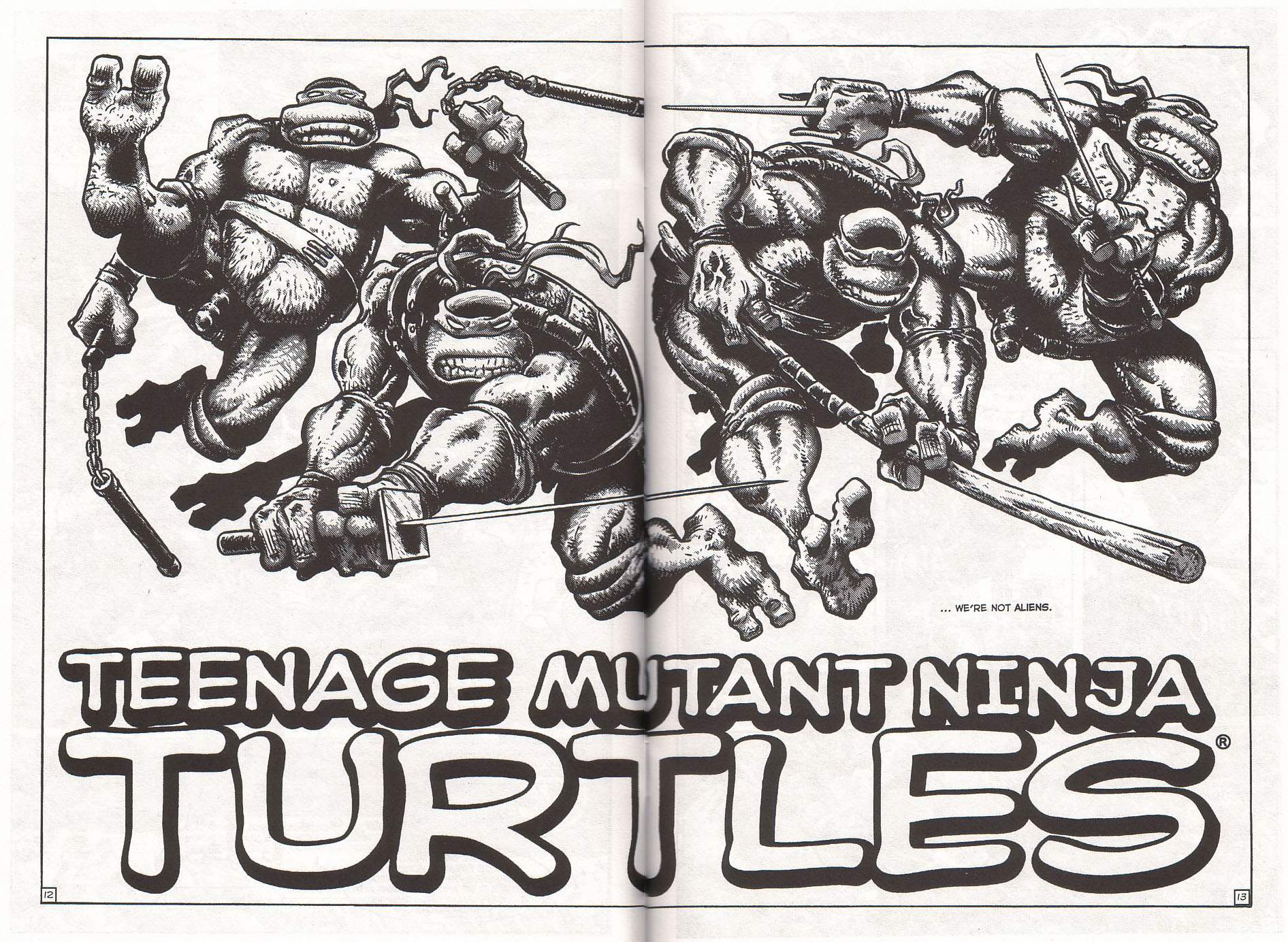TMNT: Teenage Mutant Ninja Turtles Issue #1 #1 - English 13