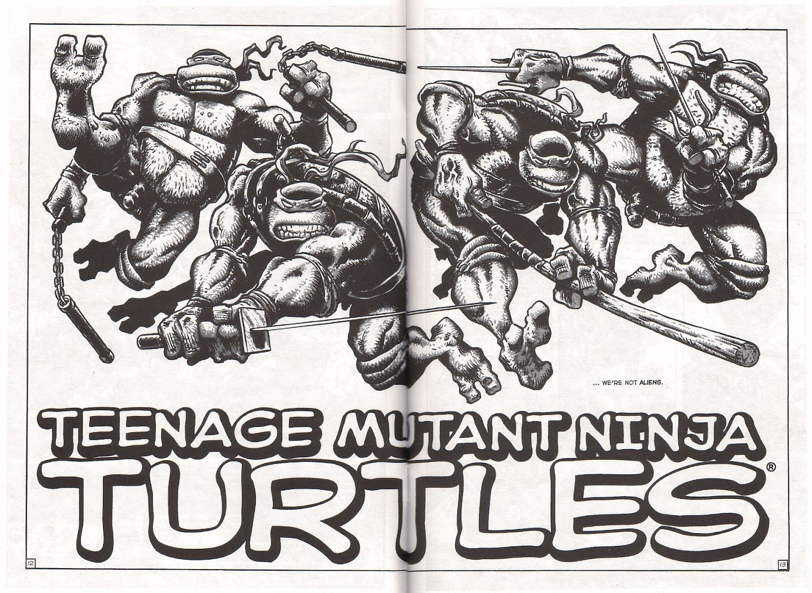 TMNT: Teenage Mutant Ninja Turtles issue 1 - Page 13
