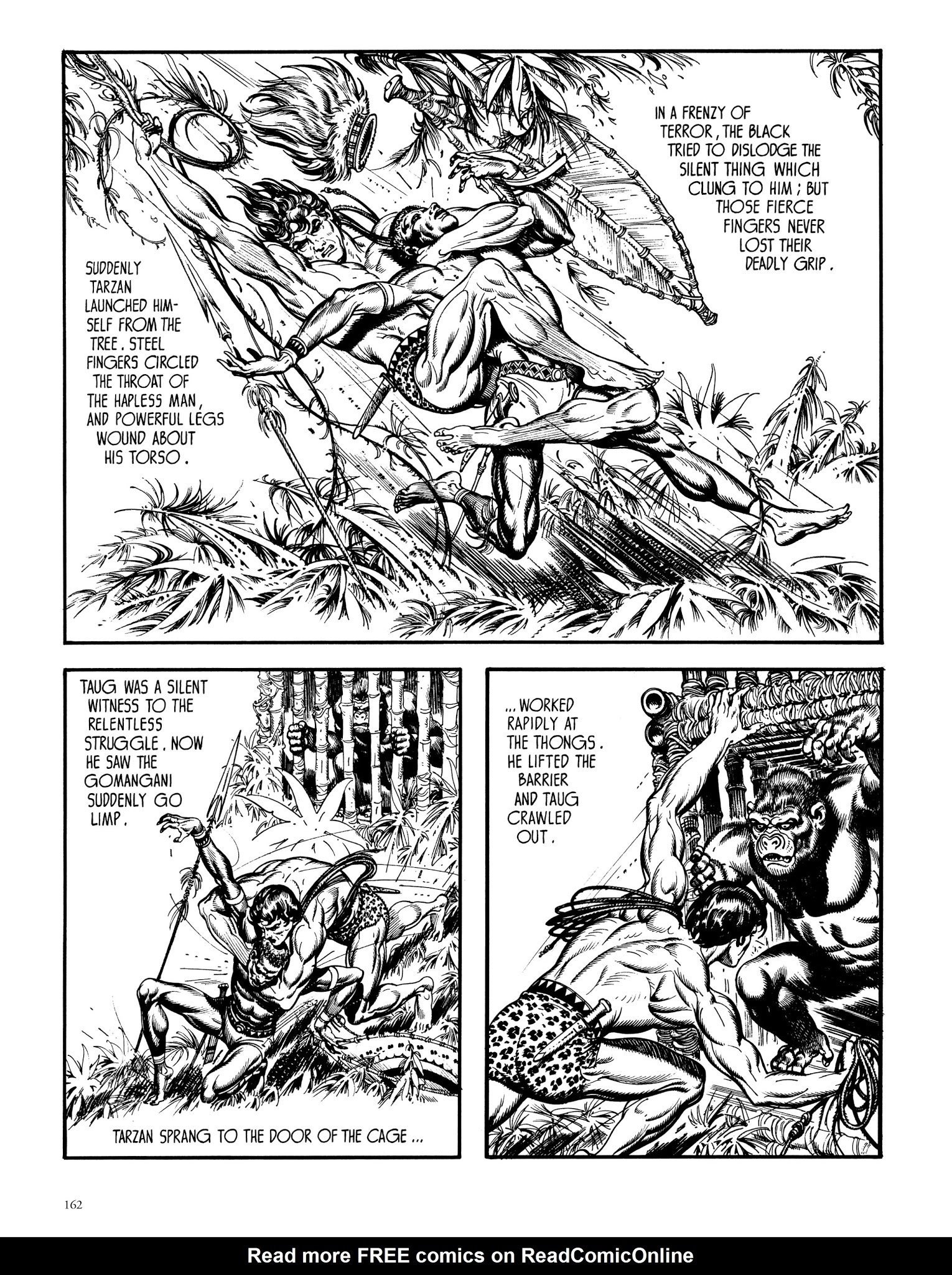 Read online Edgar Rice Burroughs' Tarzan: Burne Hogarth's Lord of the Jungle comic -  Issue # TPB - 161