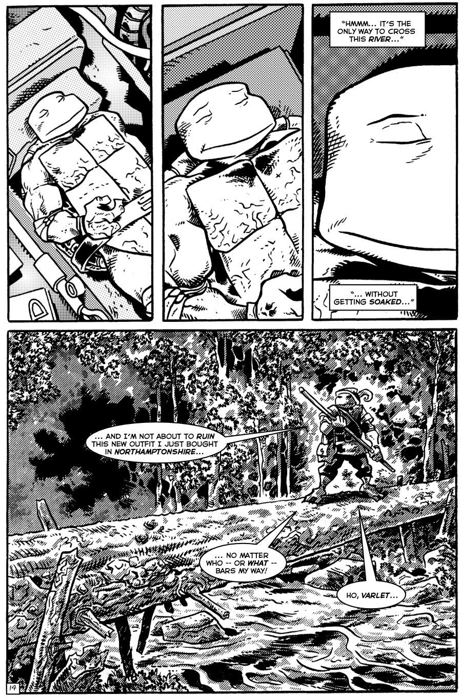 TMNT: Teenage Mutant Ninja Turtles Issue #31 #31 - English 14